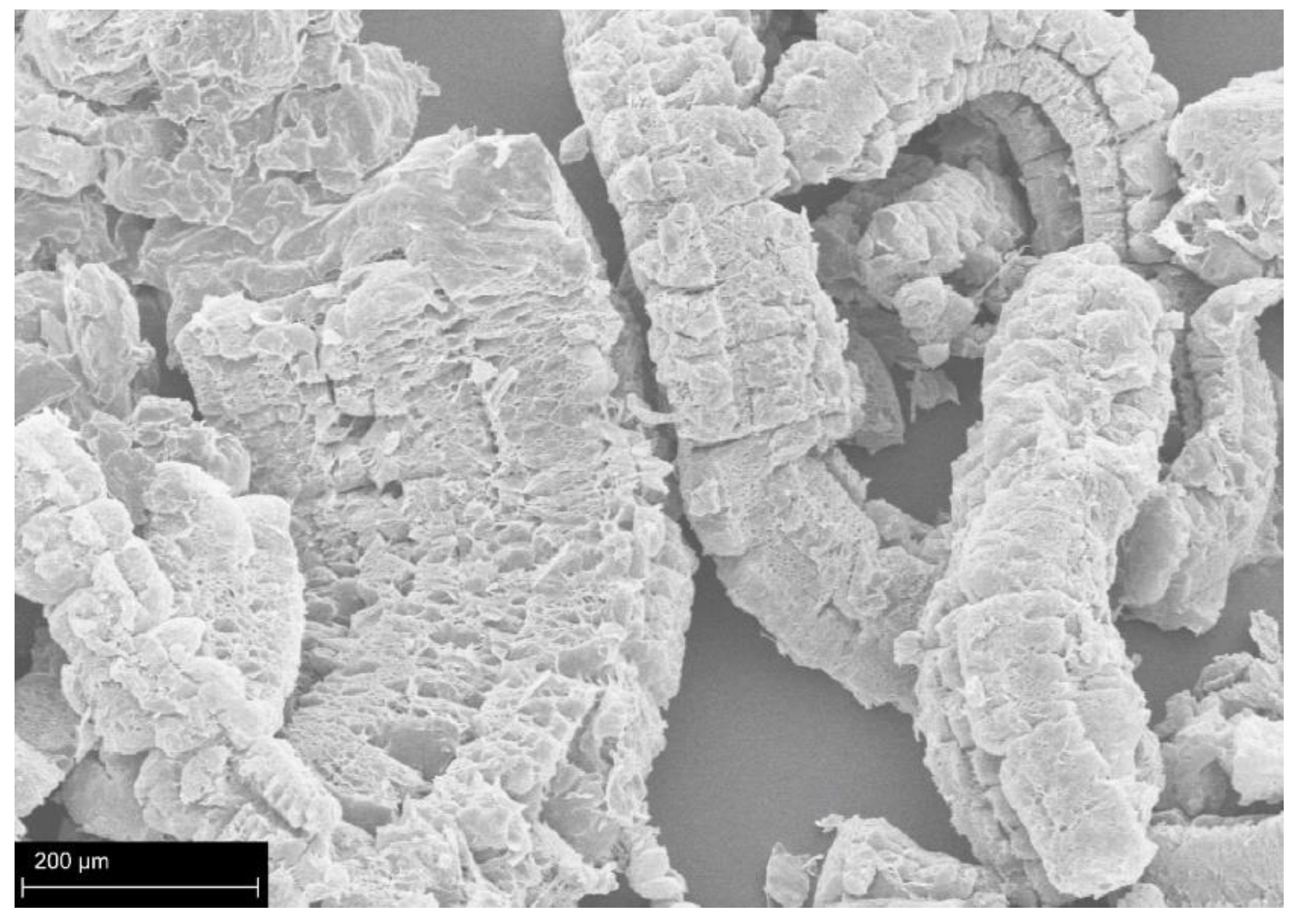 Polymers 14 02562 g007 Polymers 14 02562 g007