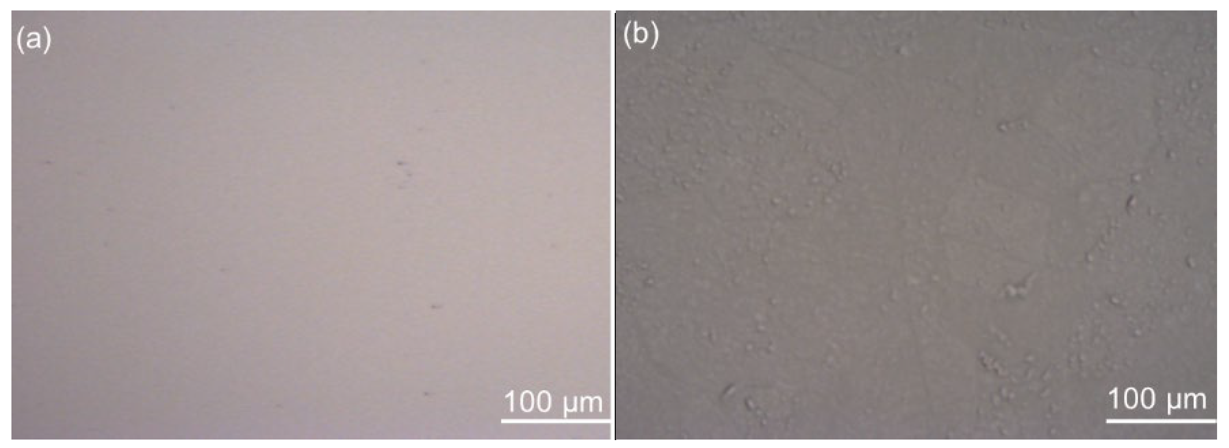 Polymers 14 02566 g001