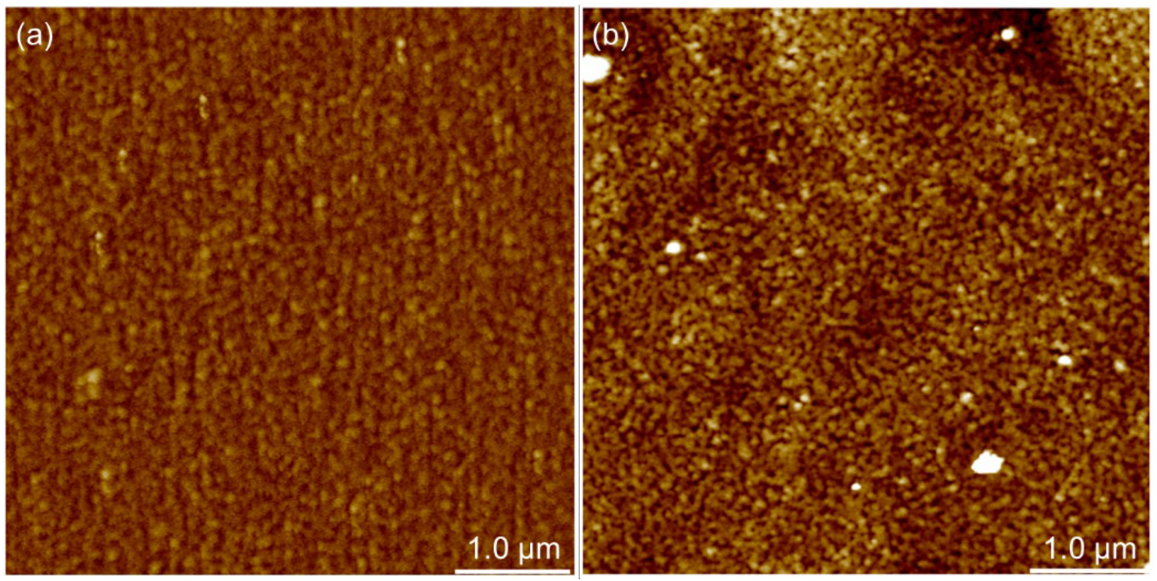Polymers 14 02566 g008