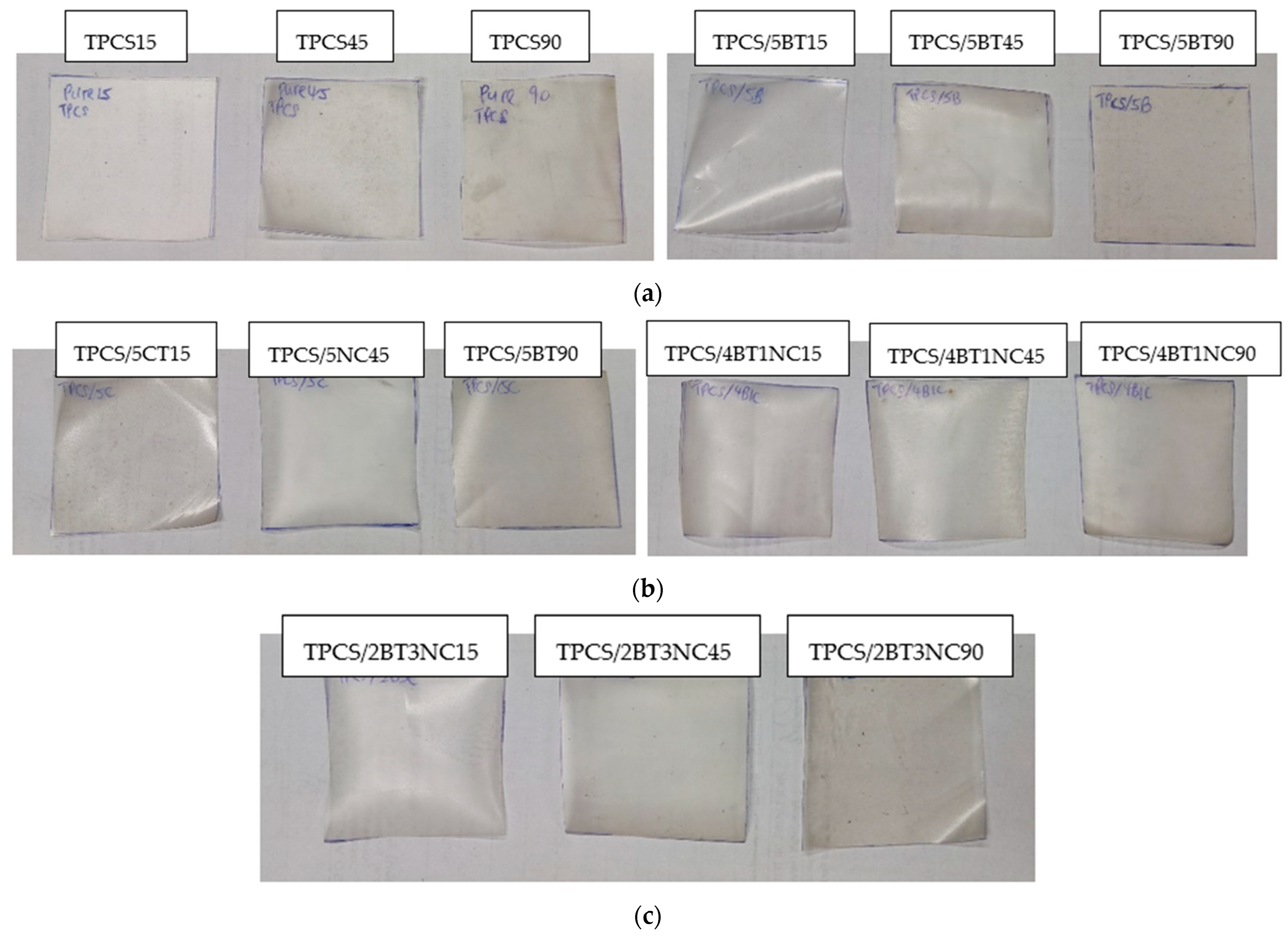 Polymers 14 02567 g001