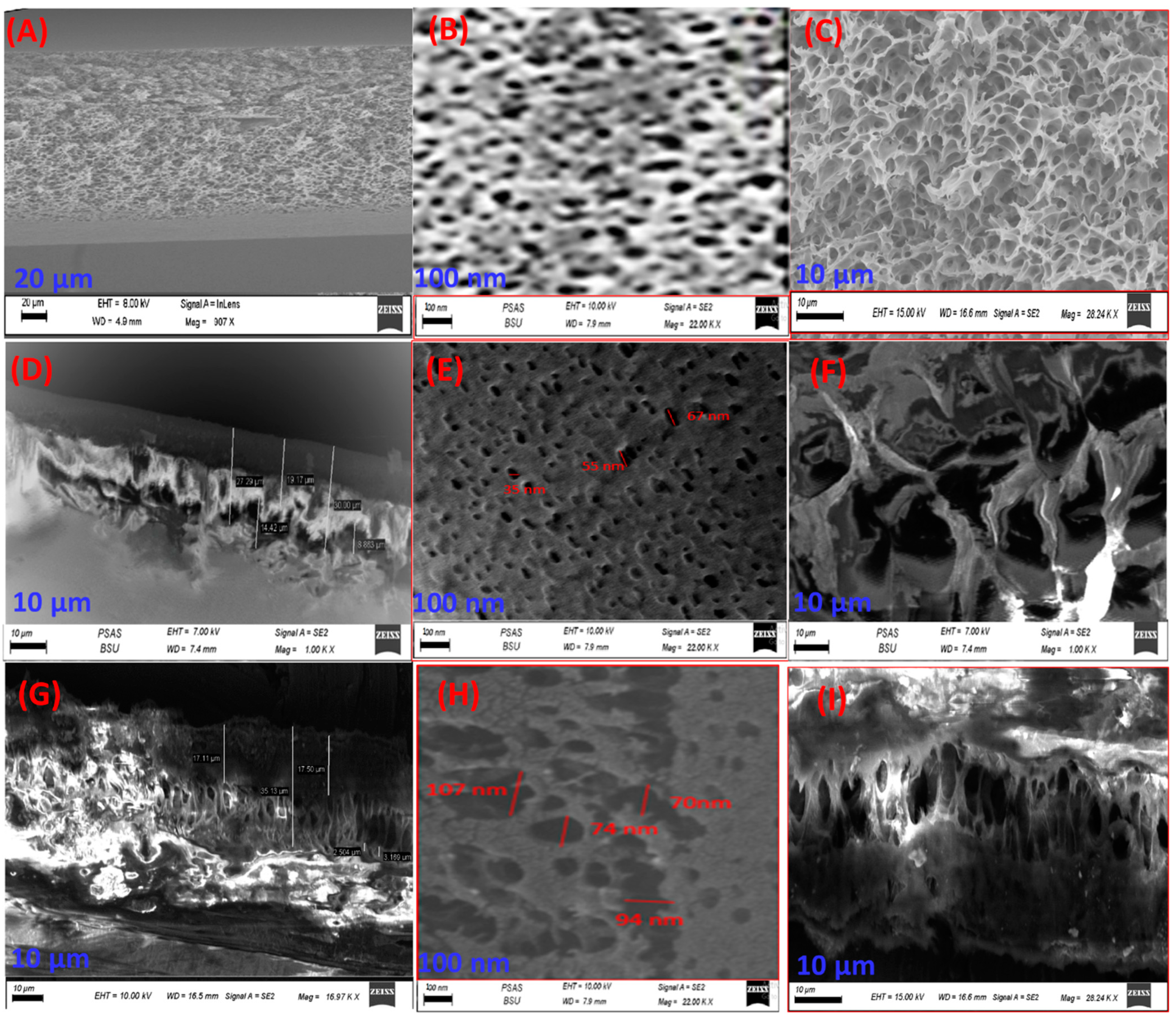 Polymers 14 02572 g002