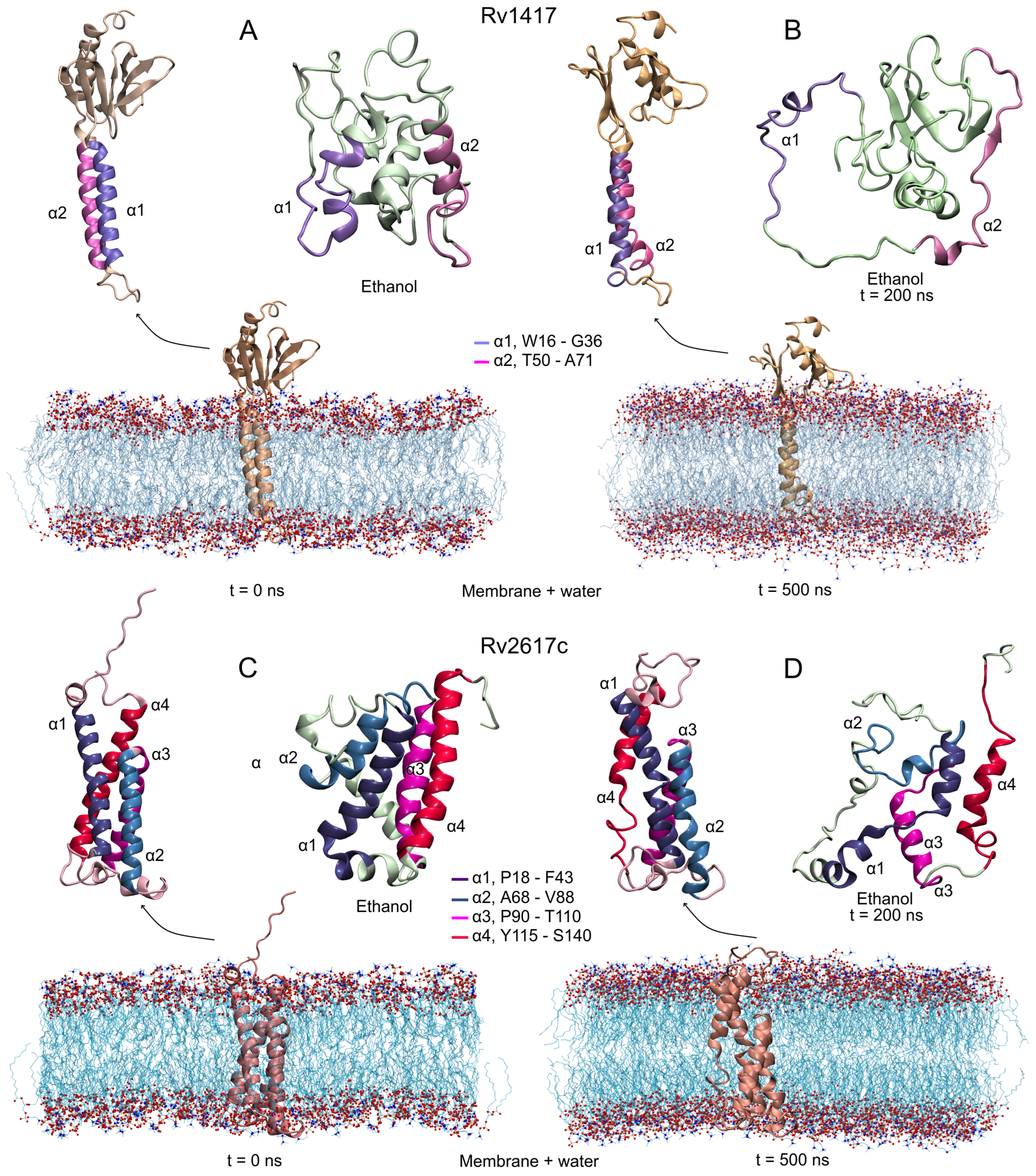Polymers 14 02577 g002