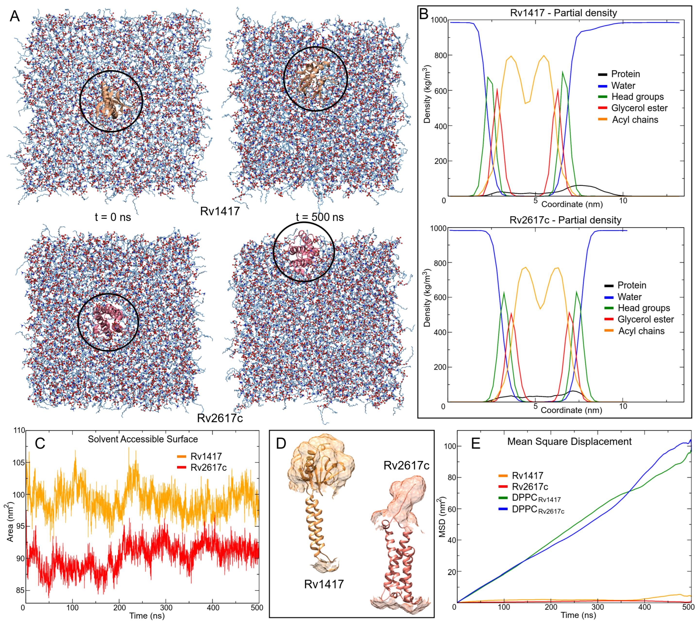 Polymers 14 02577 g004