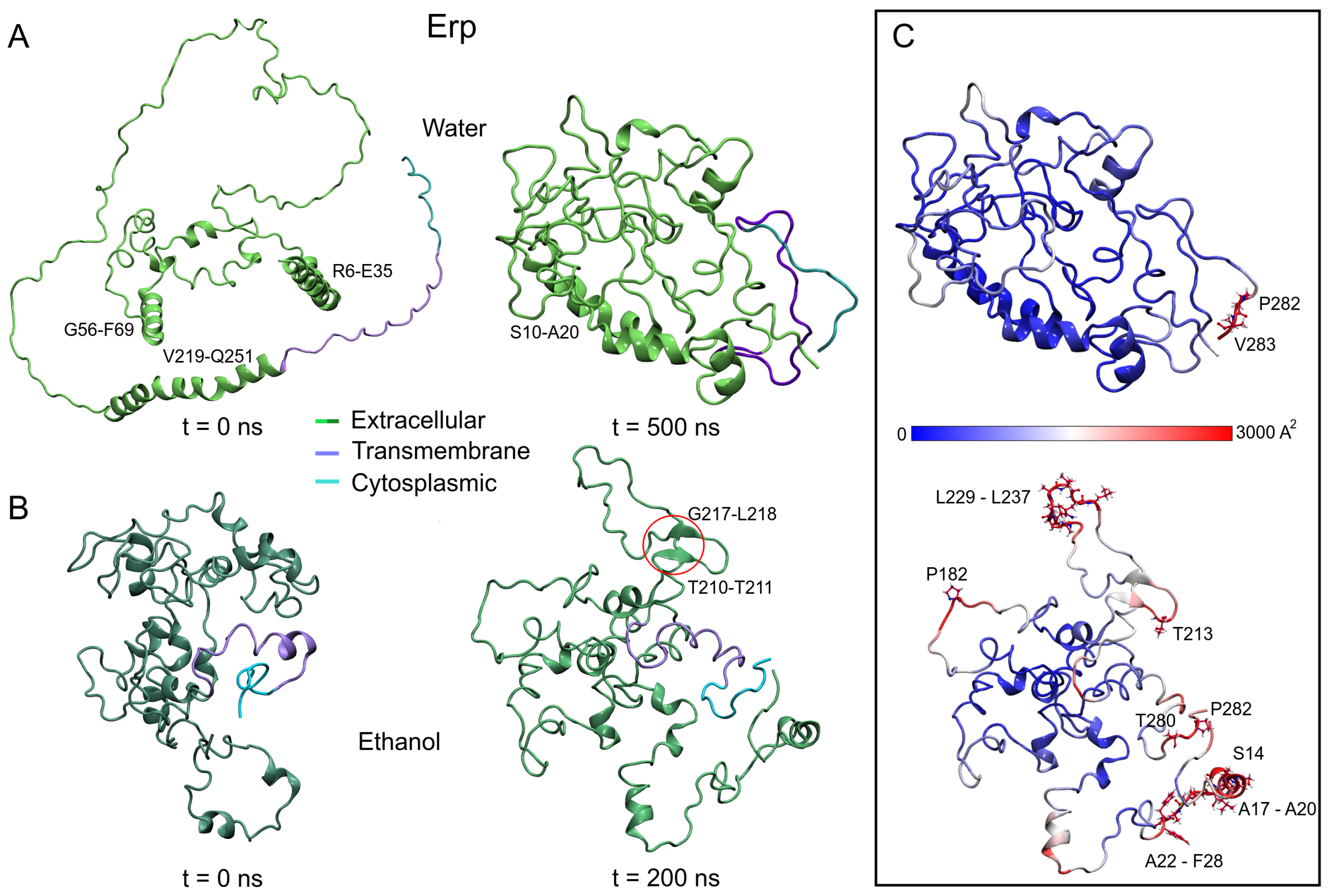 Polymers 14 02577 g005