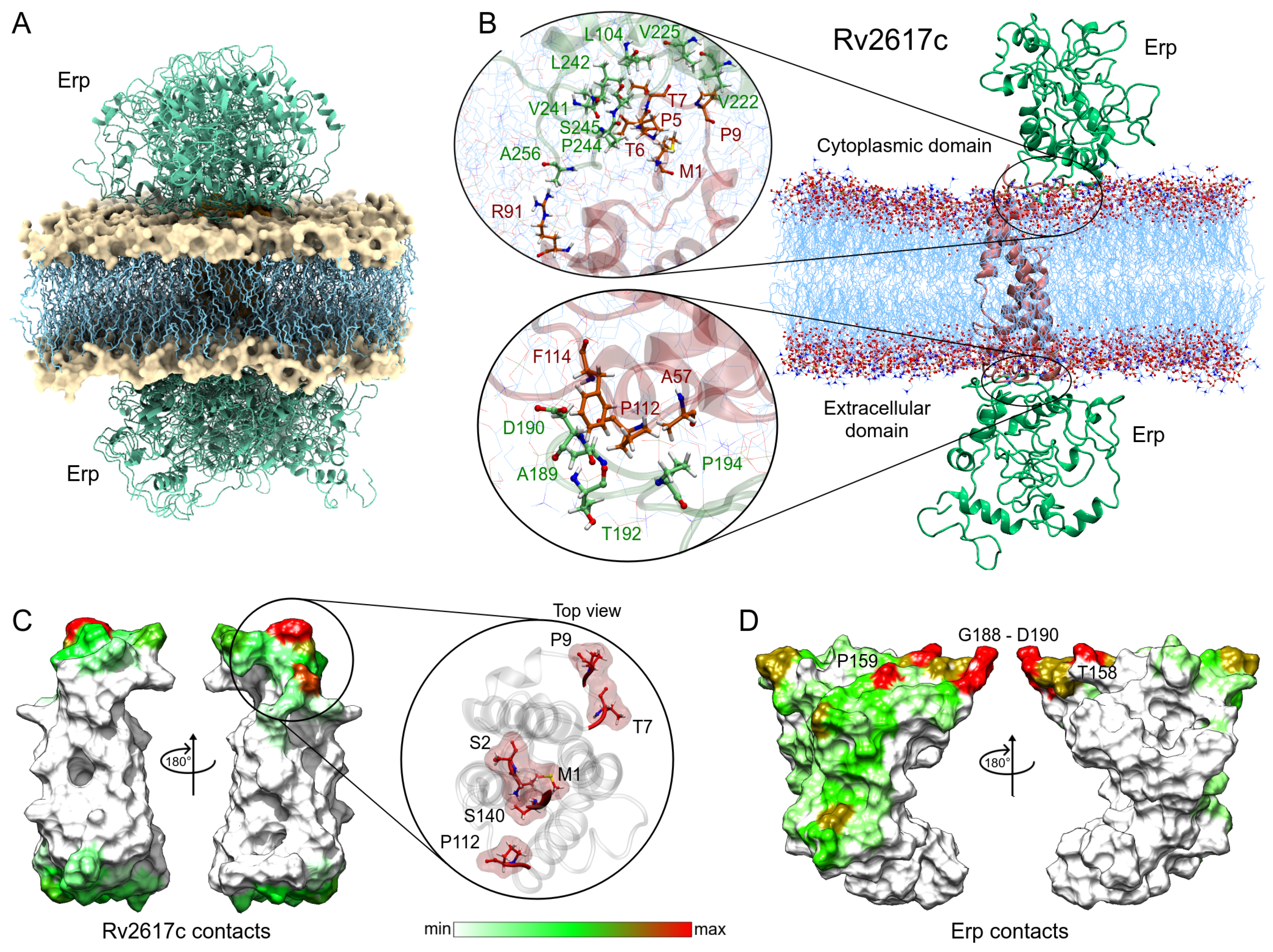 Polymers 14 02577 g007