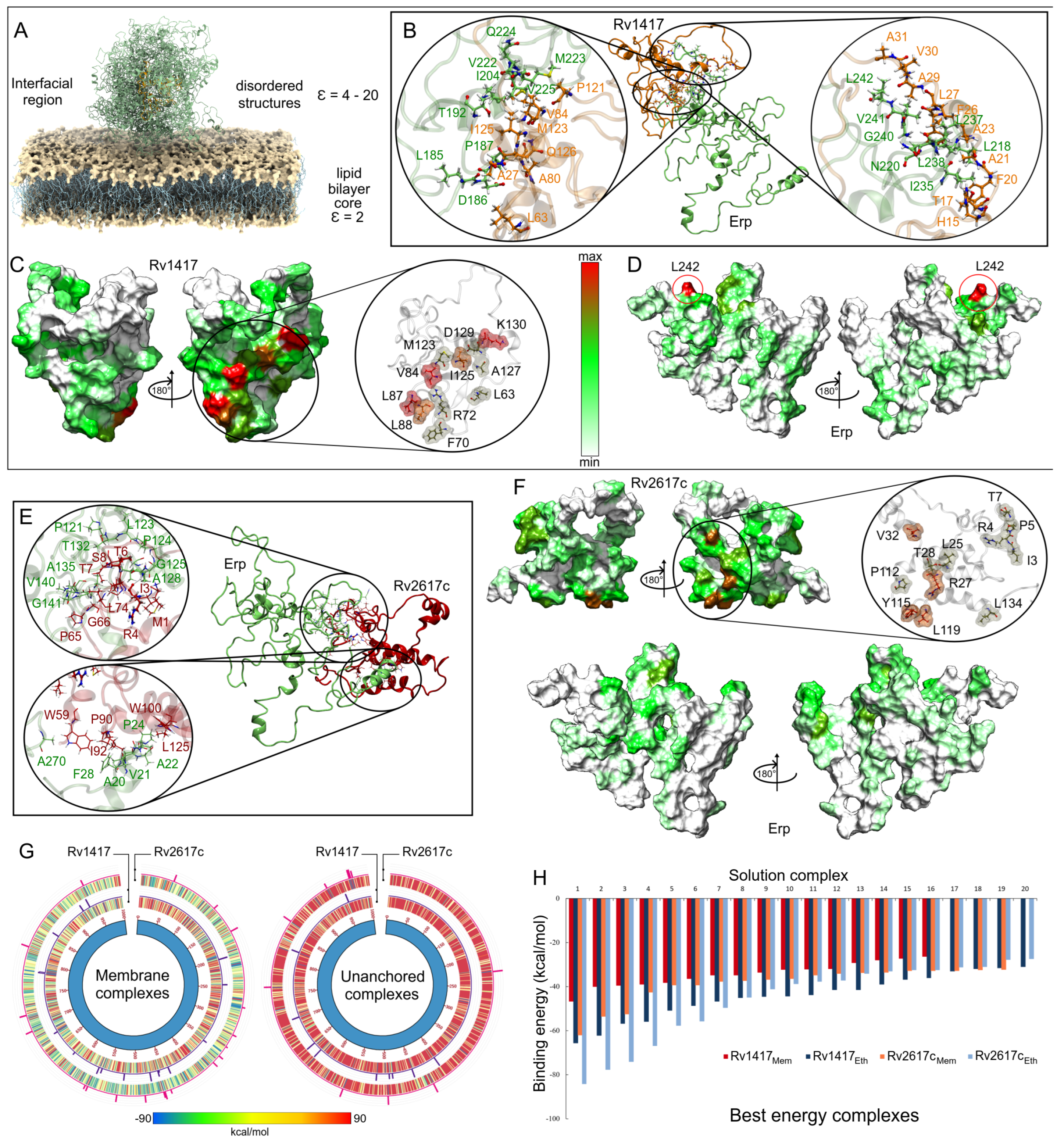 Polymers 14 02577 g008