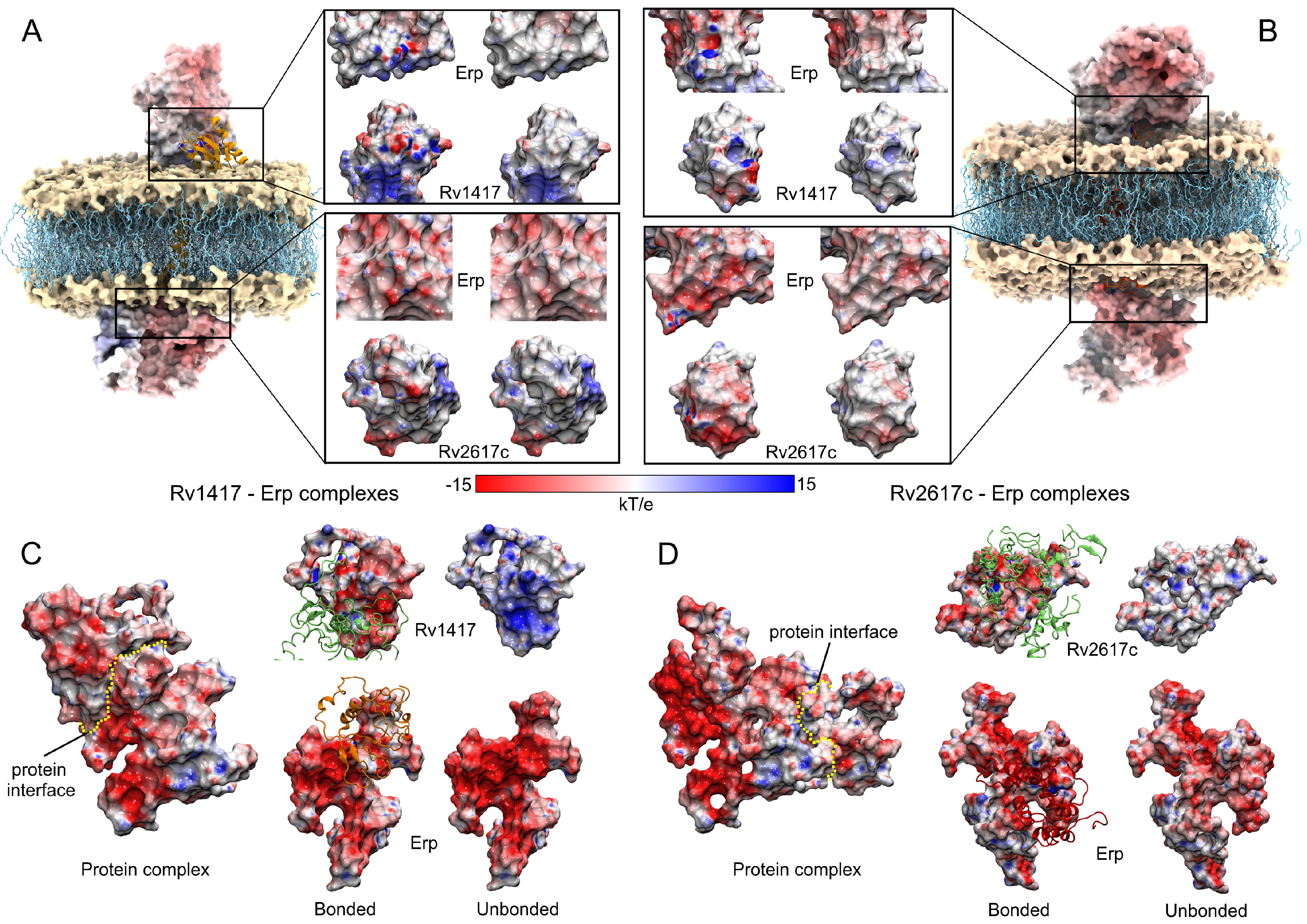 Polymers 14 02577 g009