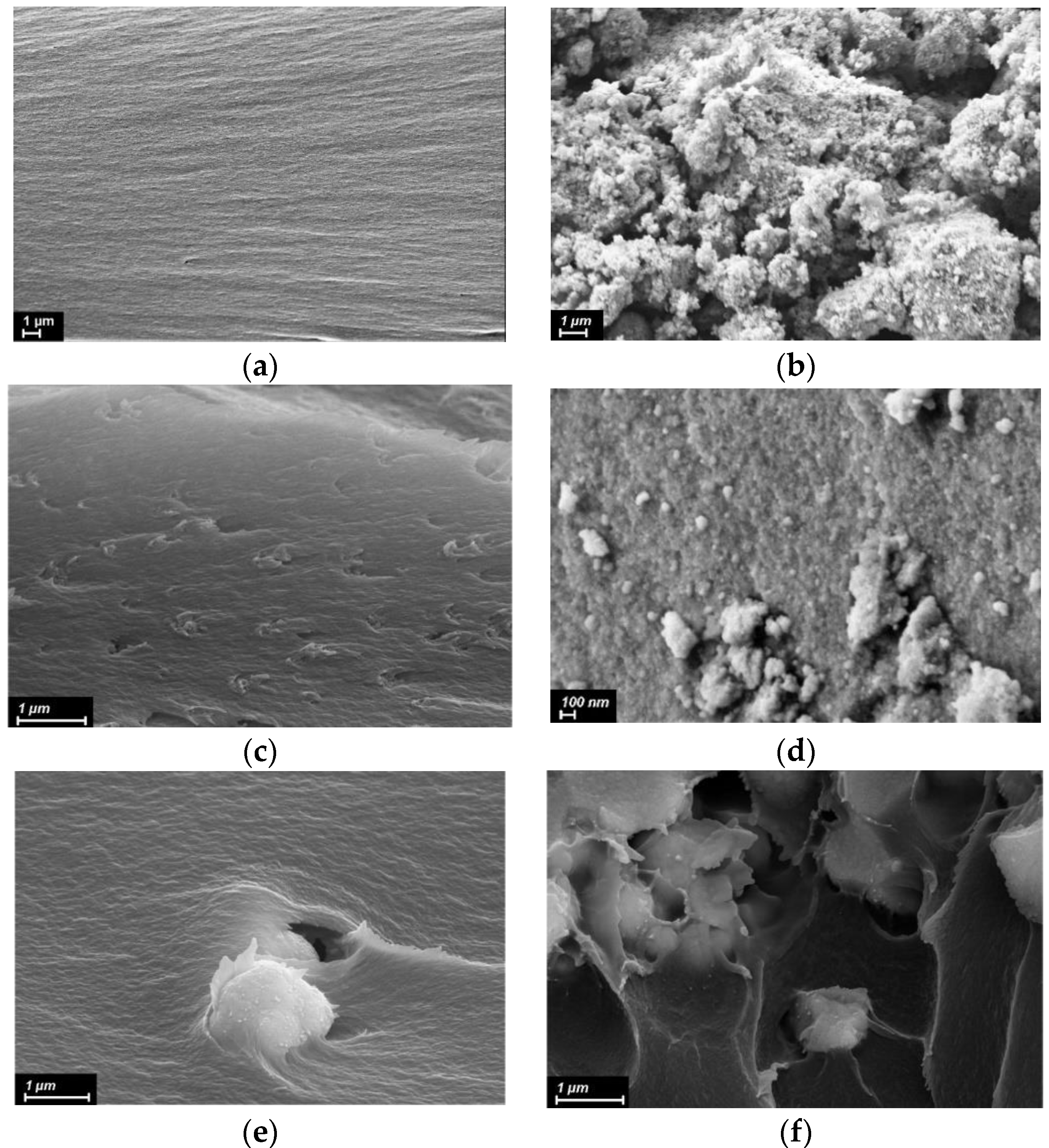 Polymers 14 02580 g002