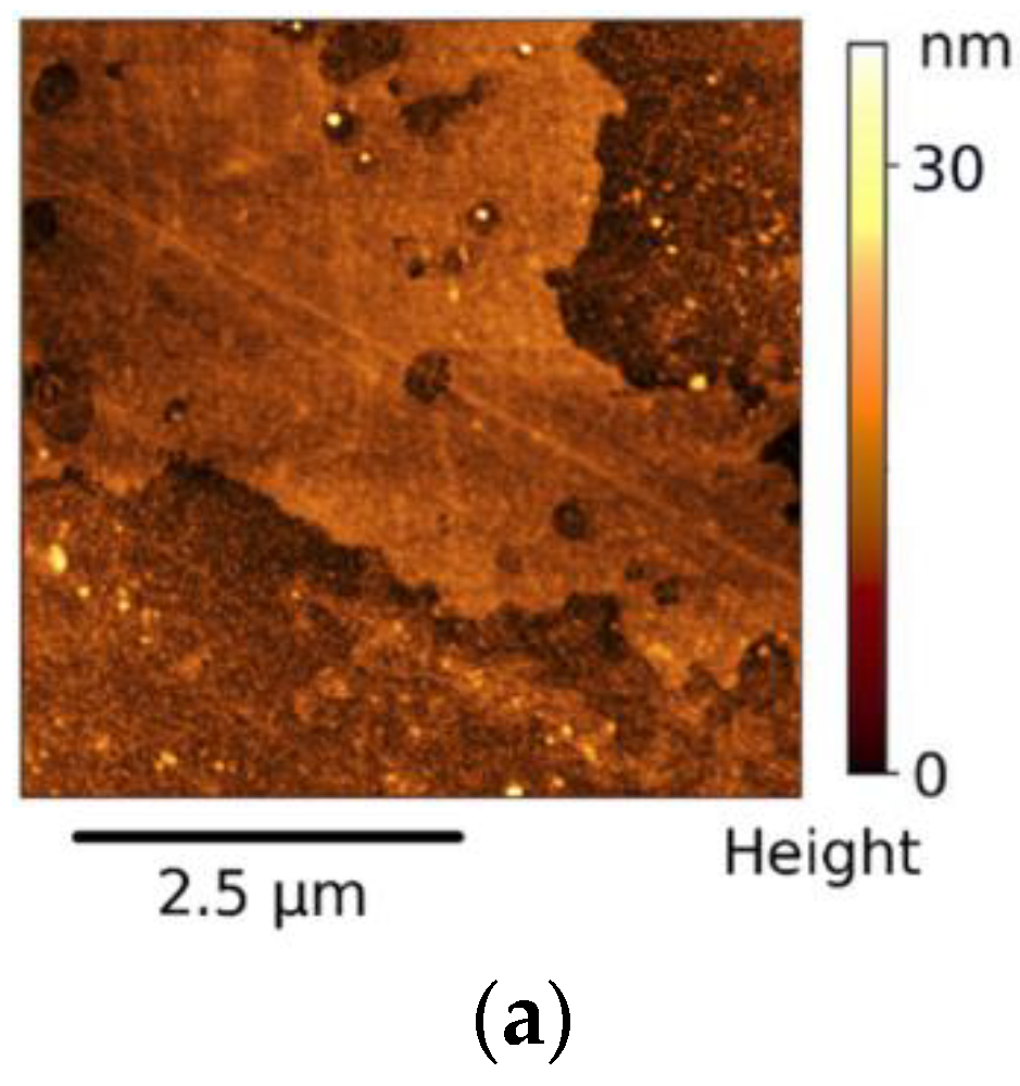 Polymers 14 02580 g003a