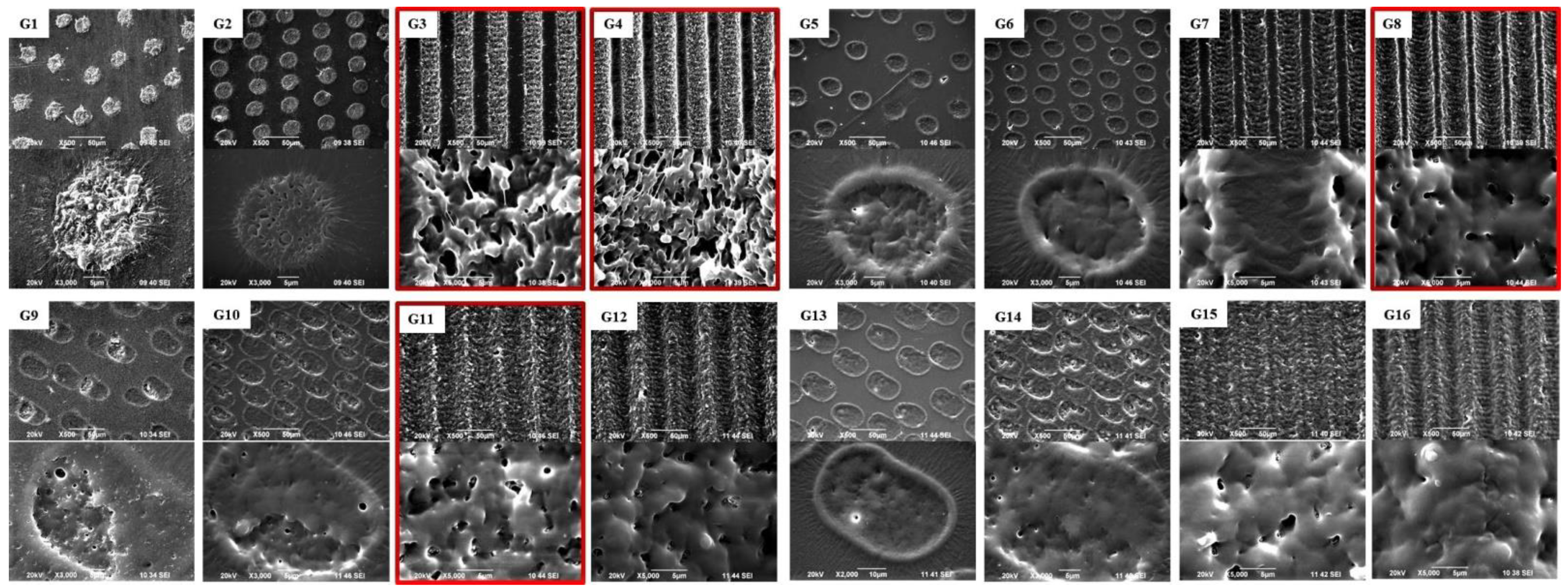 Polymers 14 02584 g002