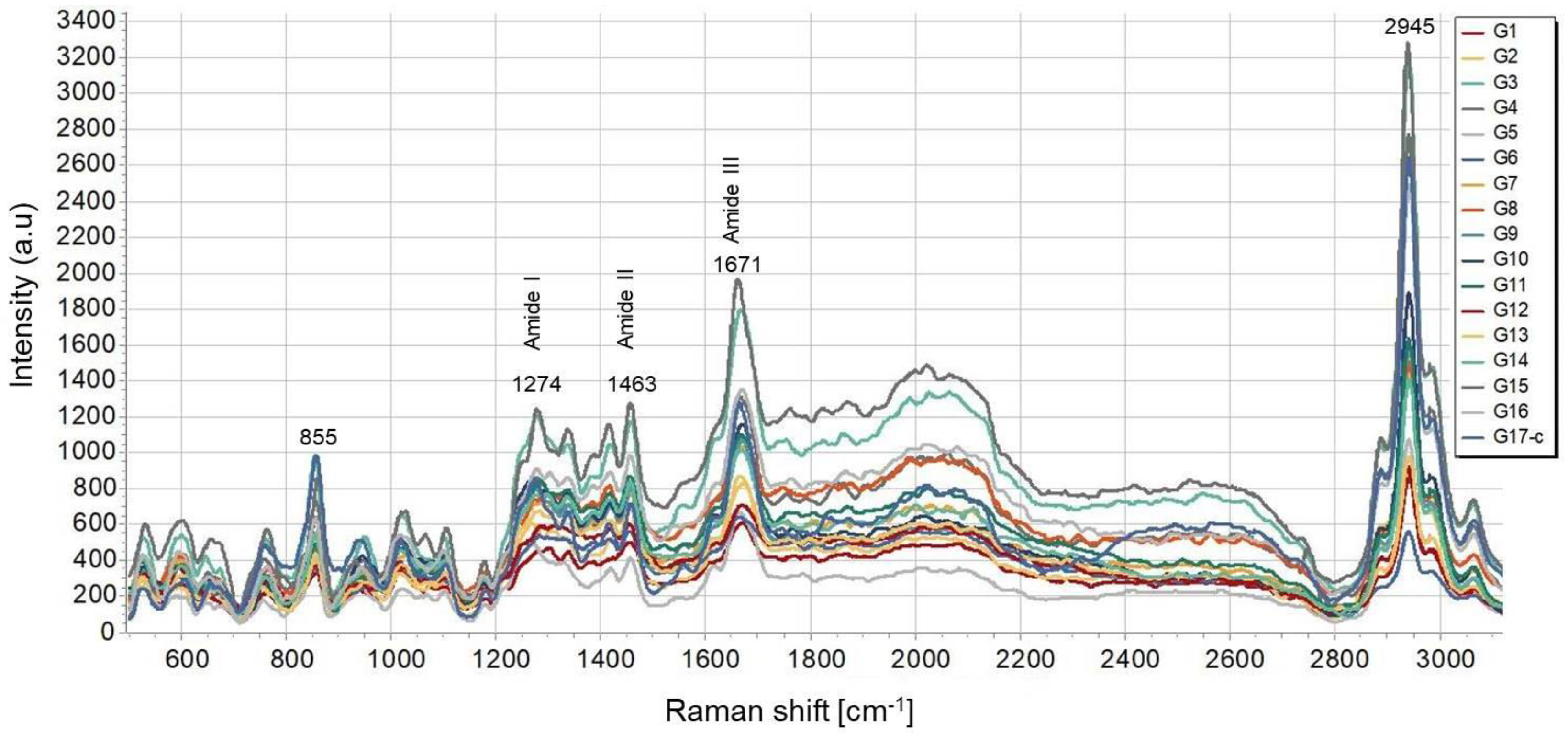 Polymers 14 02584 g007