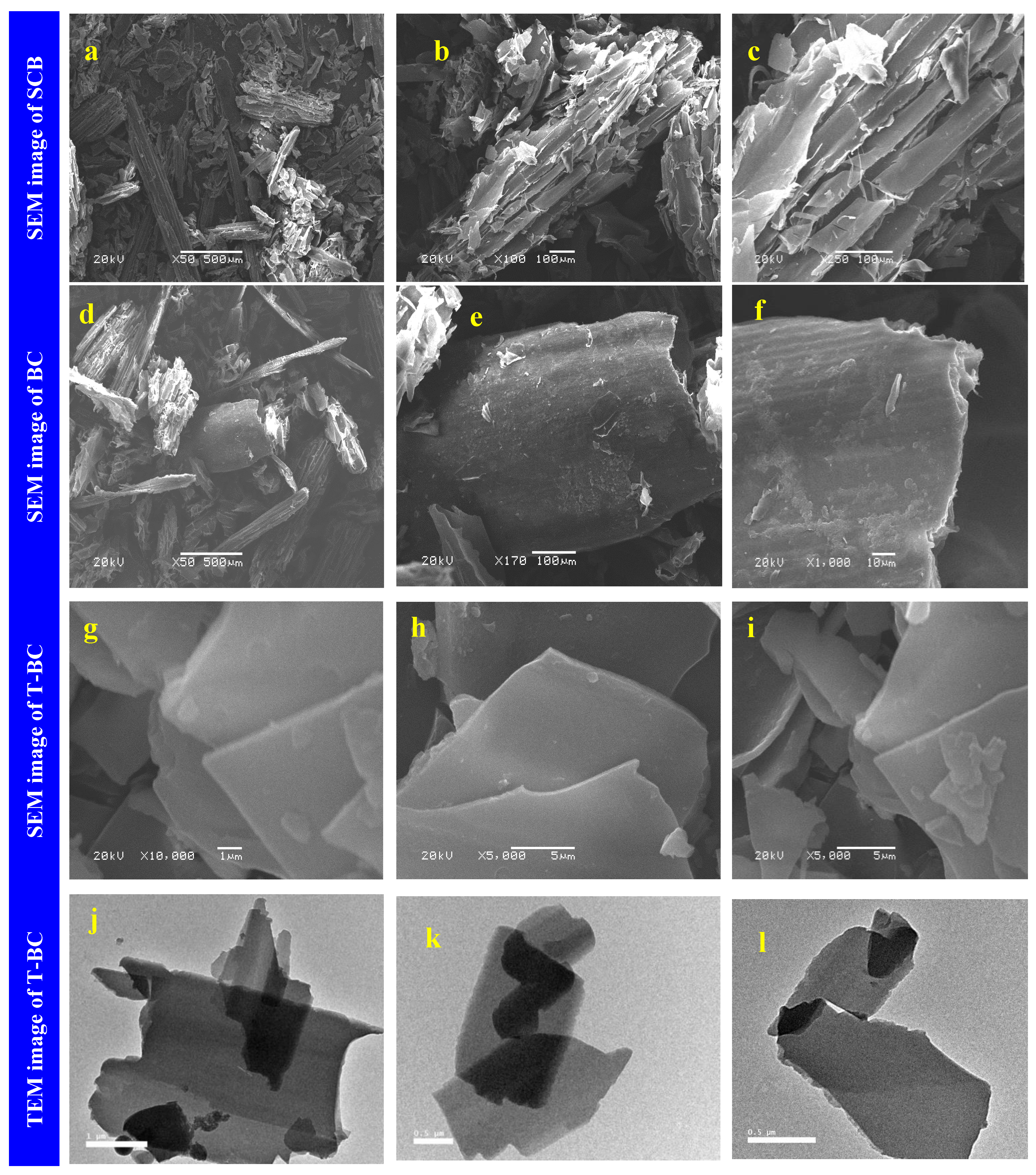 Polymers 14 02587 g001