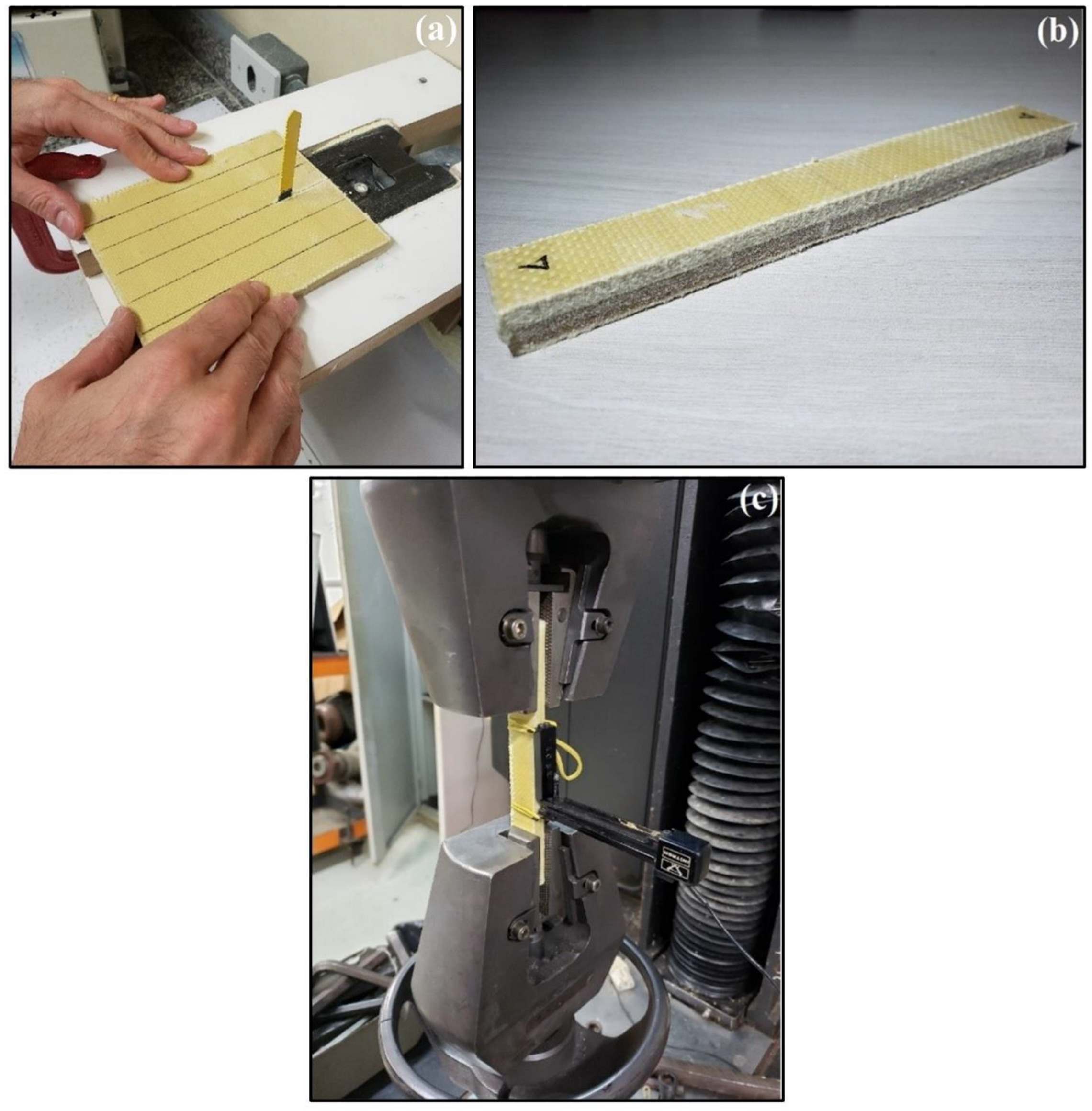 Polymers 14 02588 g004