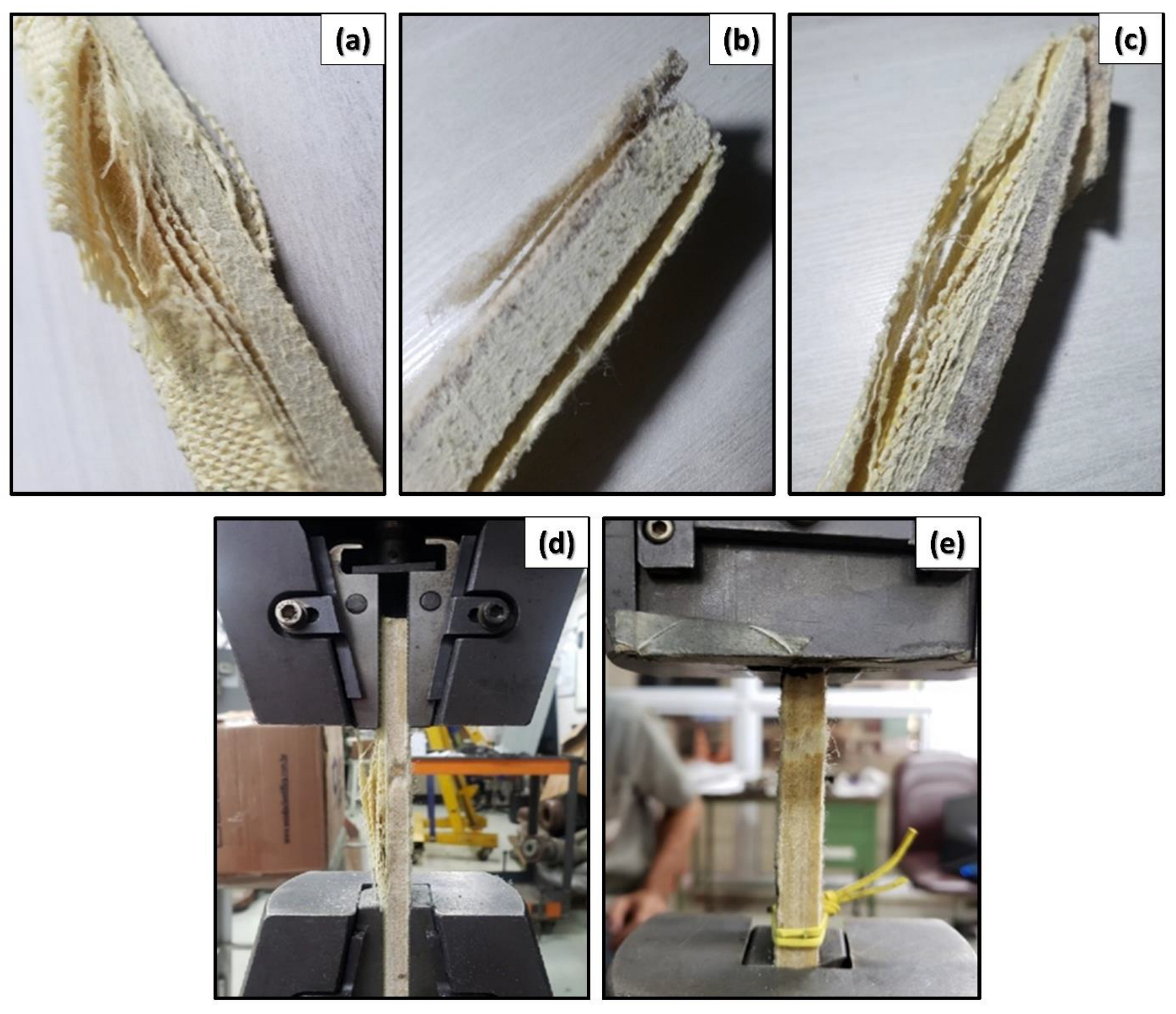 Polymers 14 02588 g008