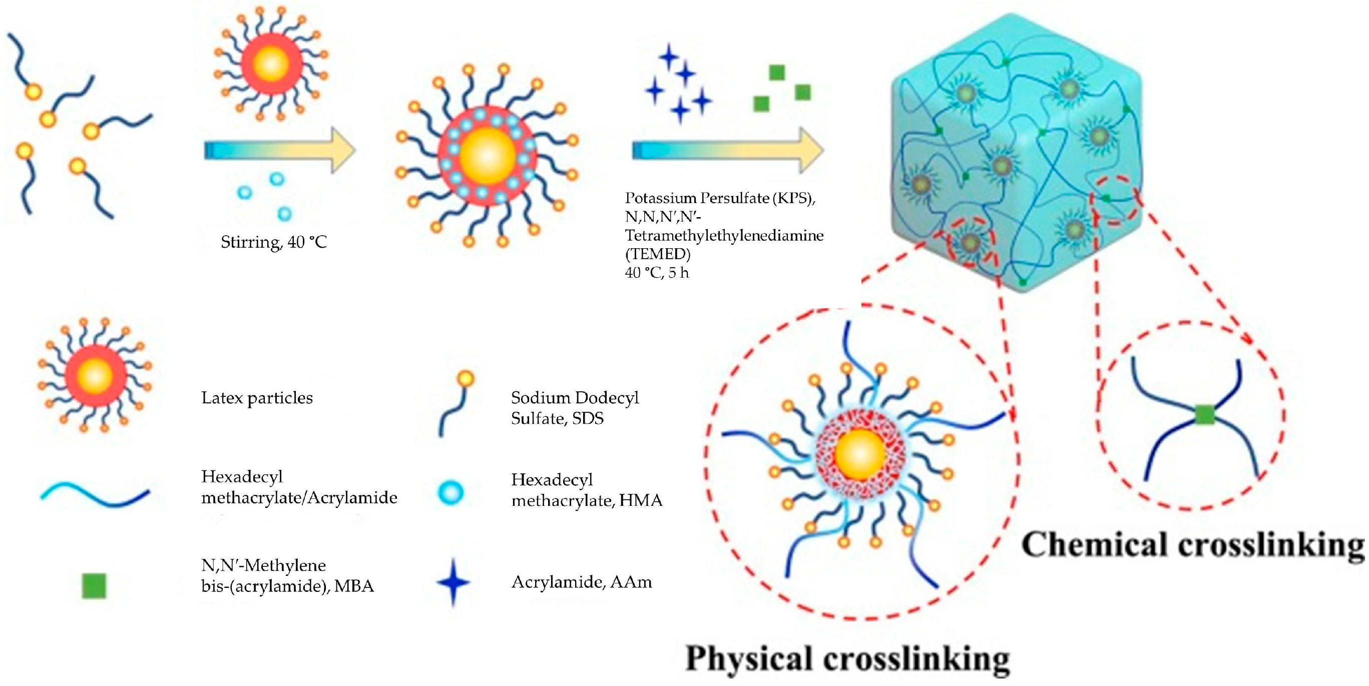 Polymers 14 02590 g001