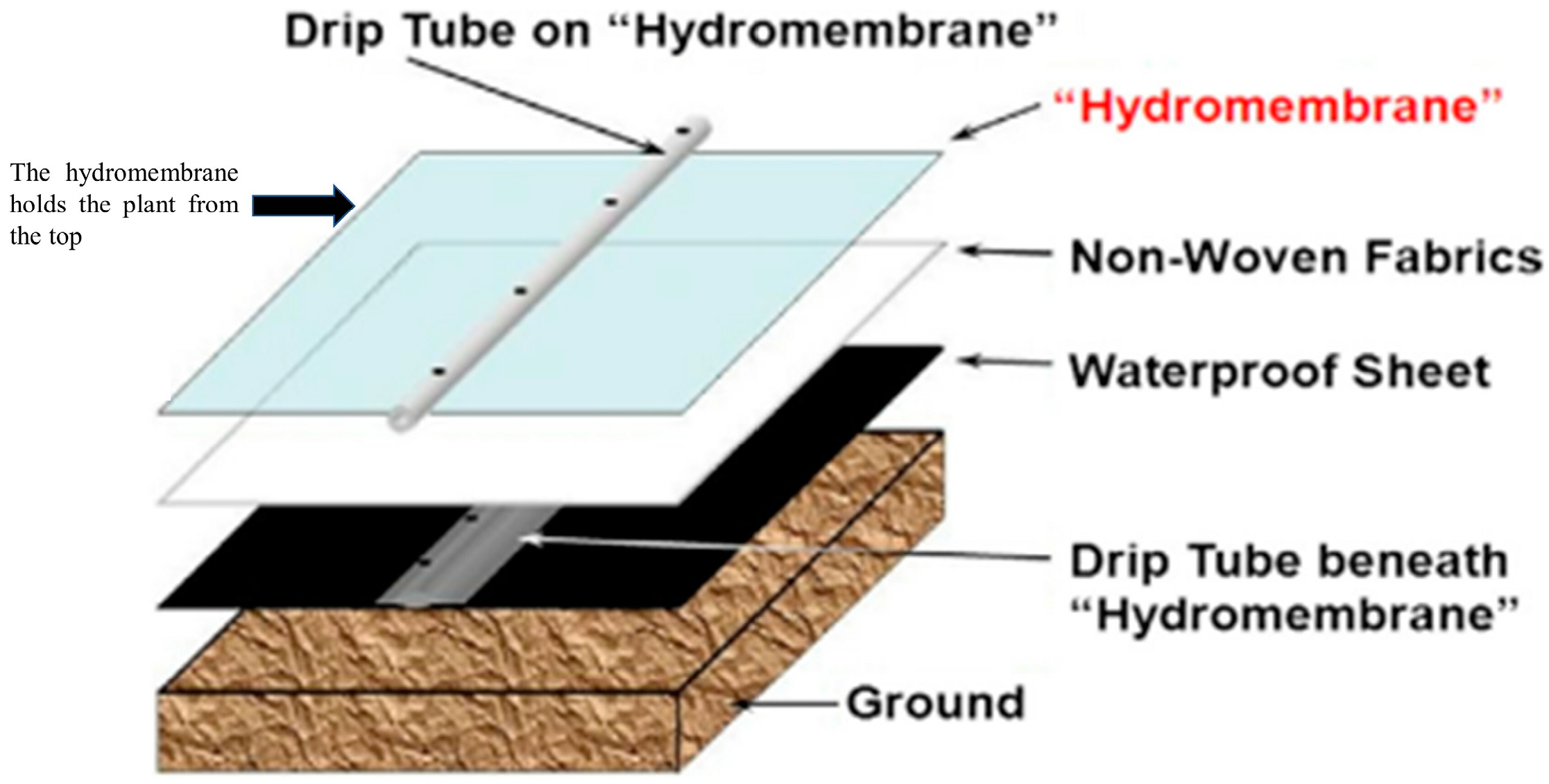 Polymers 14 02590 g003