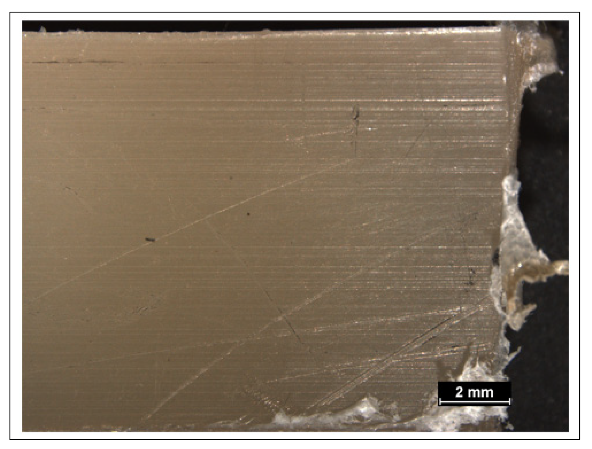 Polymers 14 02592 g011