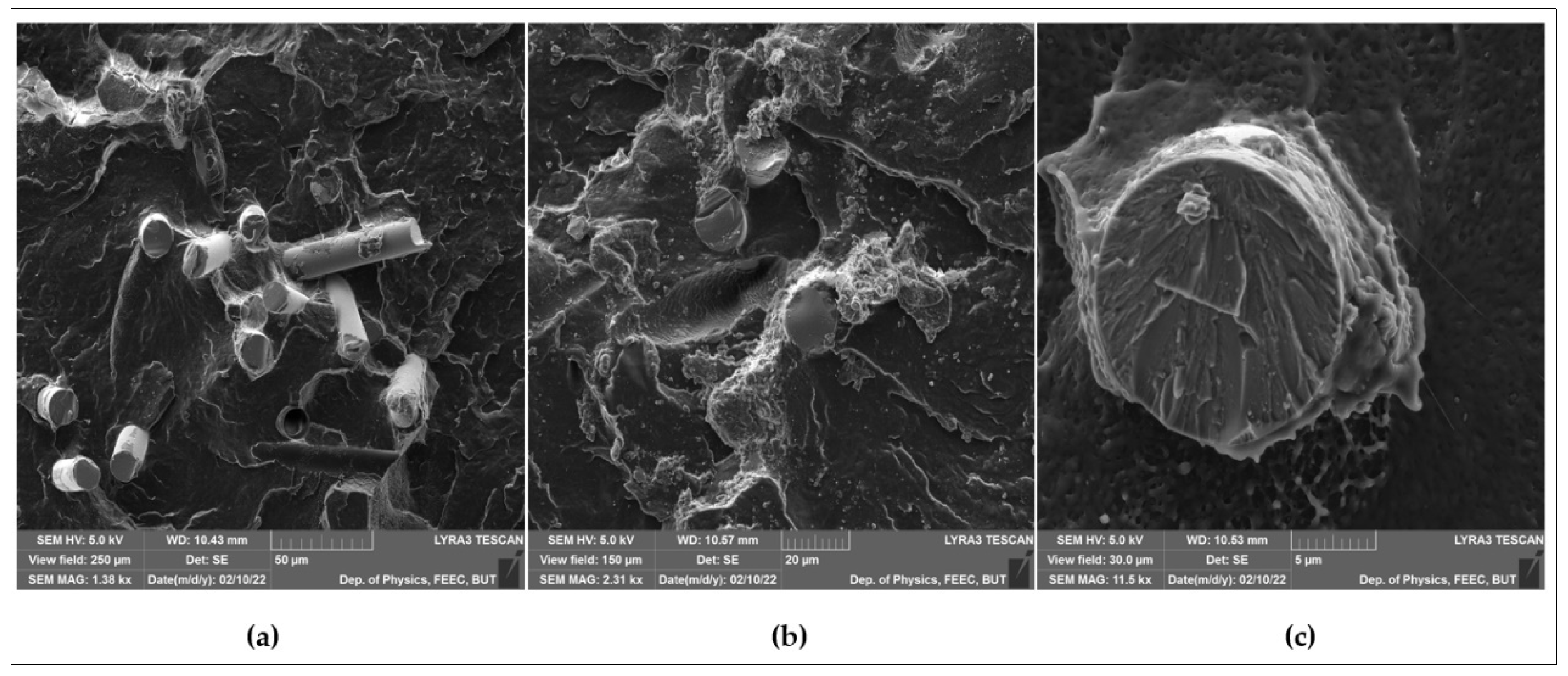 Polymers 14 02592 g023