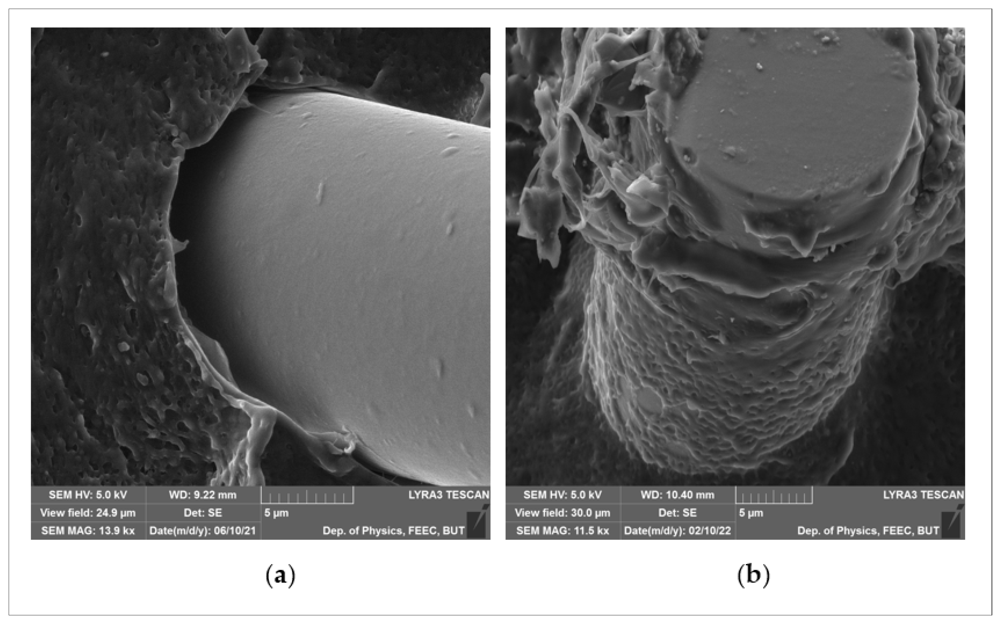 Polymers 14 02592 g024