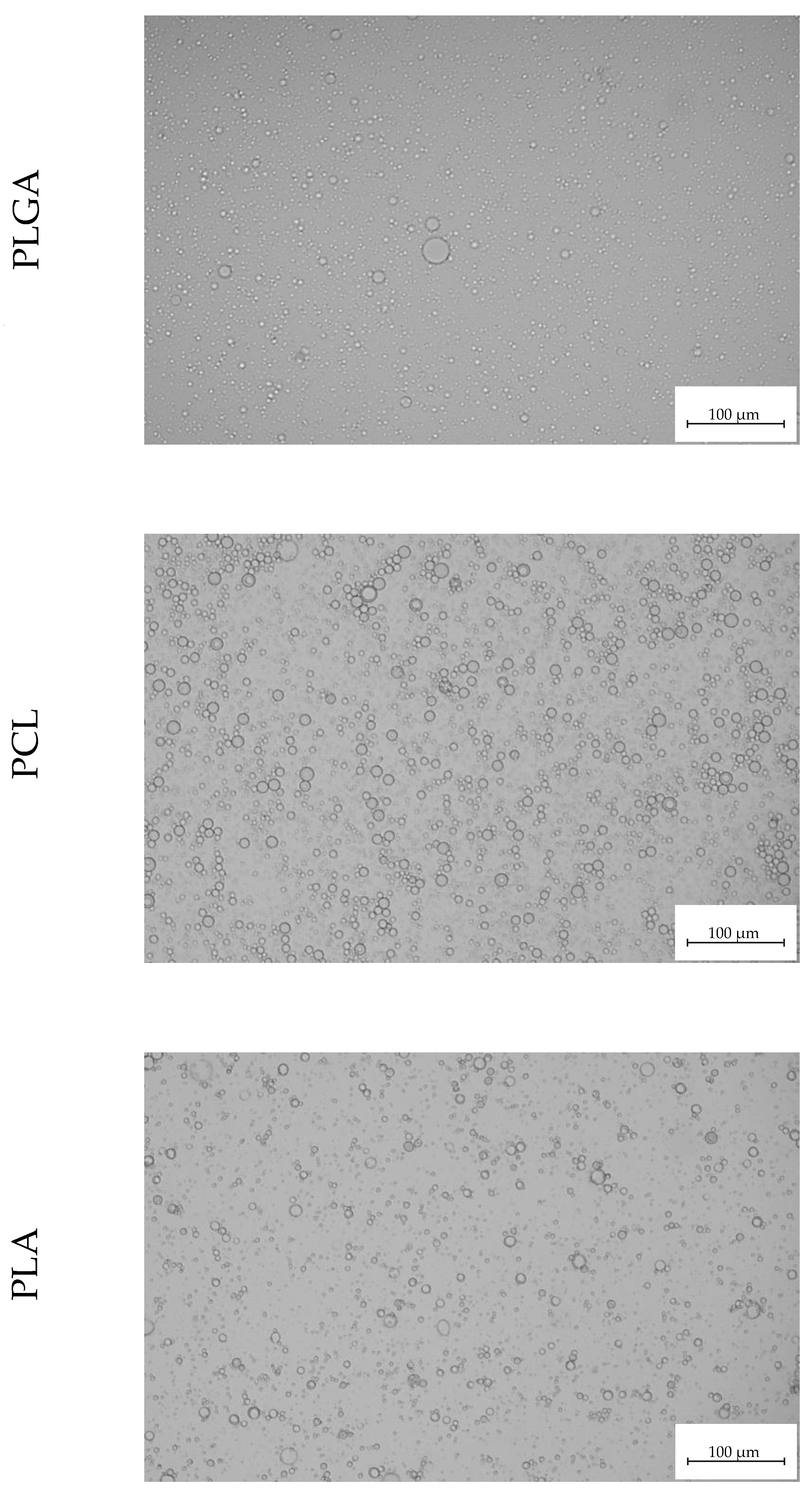 Polymers 14 02593 g002 Polymers 14 02593 g002