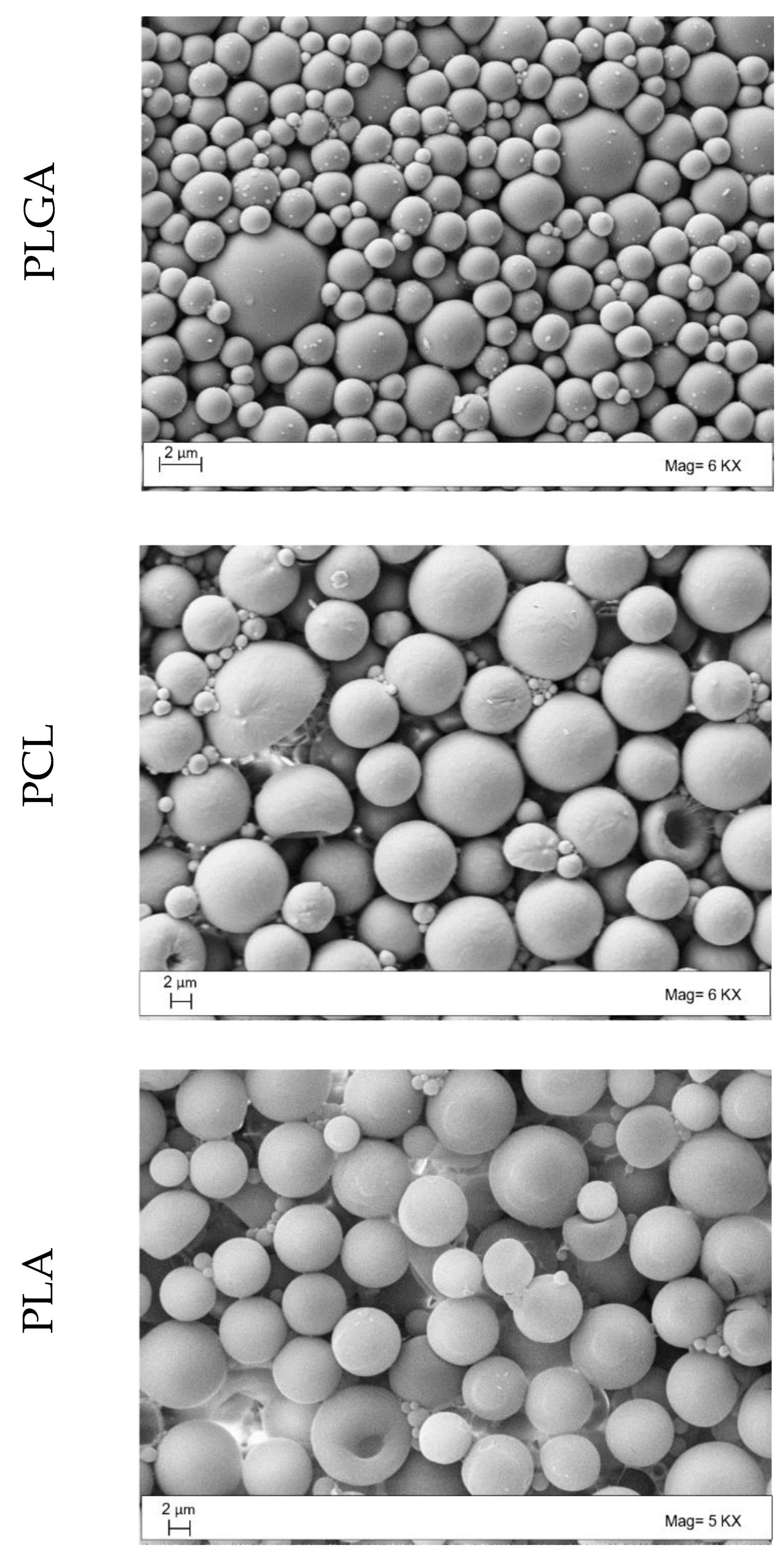 Polymers 14 02593 g004 Polymers 14 02593 g004