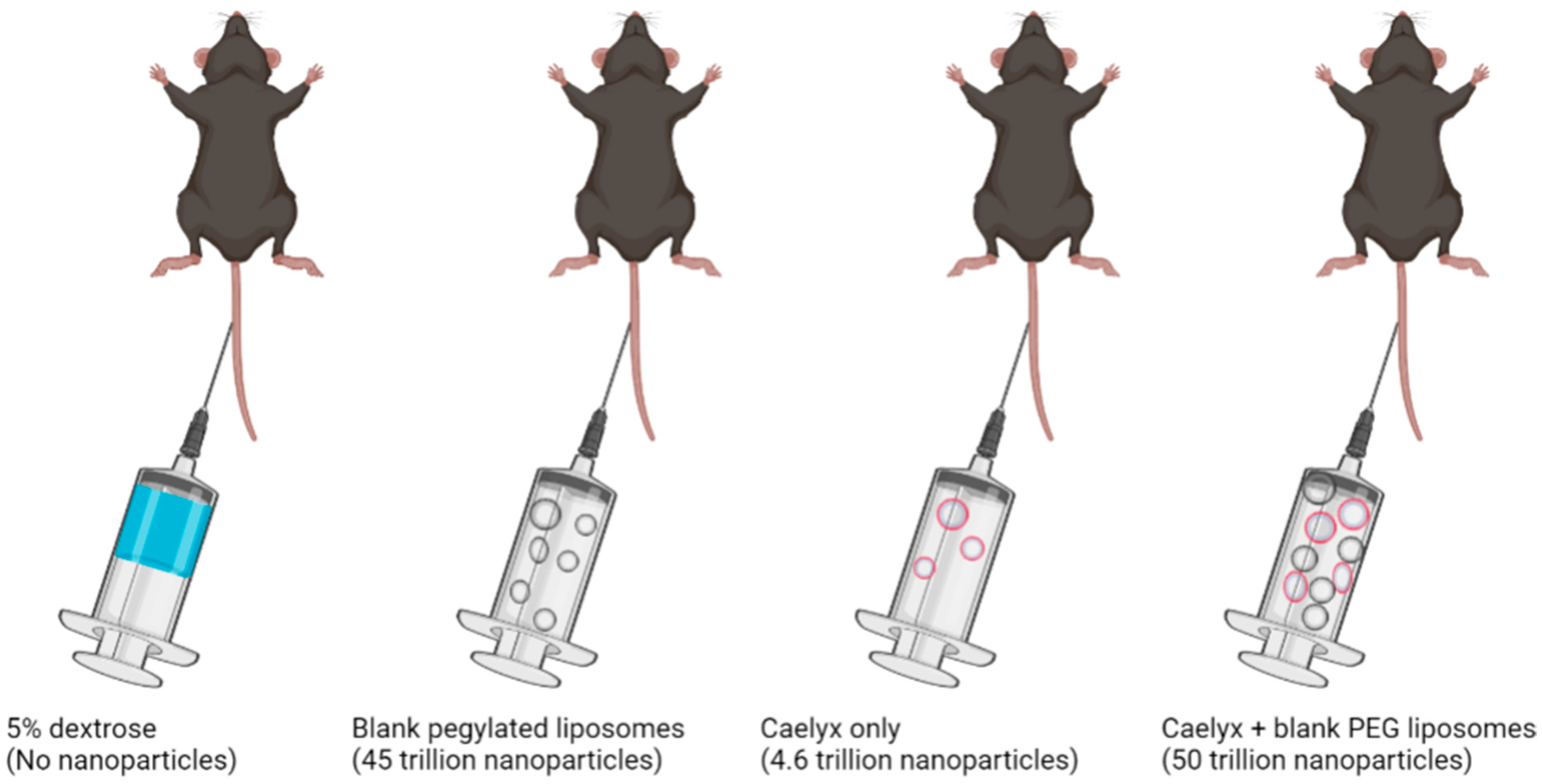 Polymers 14 02601 g002 Polymers 14 02601 g002