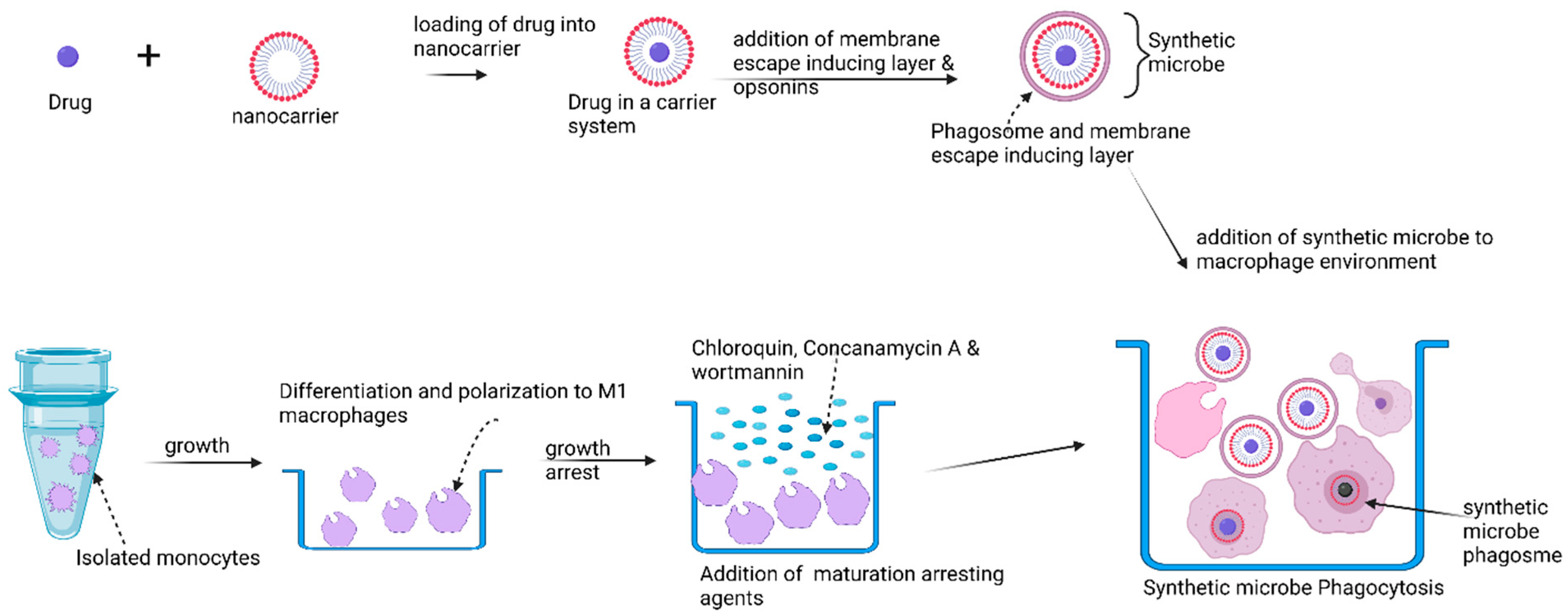 Polymers 14 02601 g005 Polymers 14 02601 g005