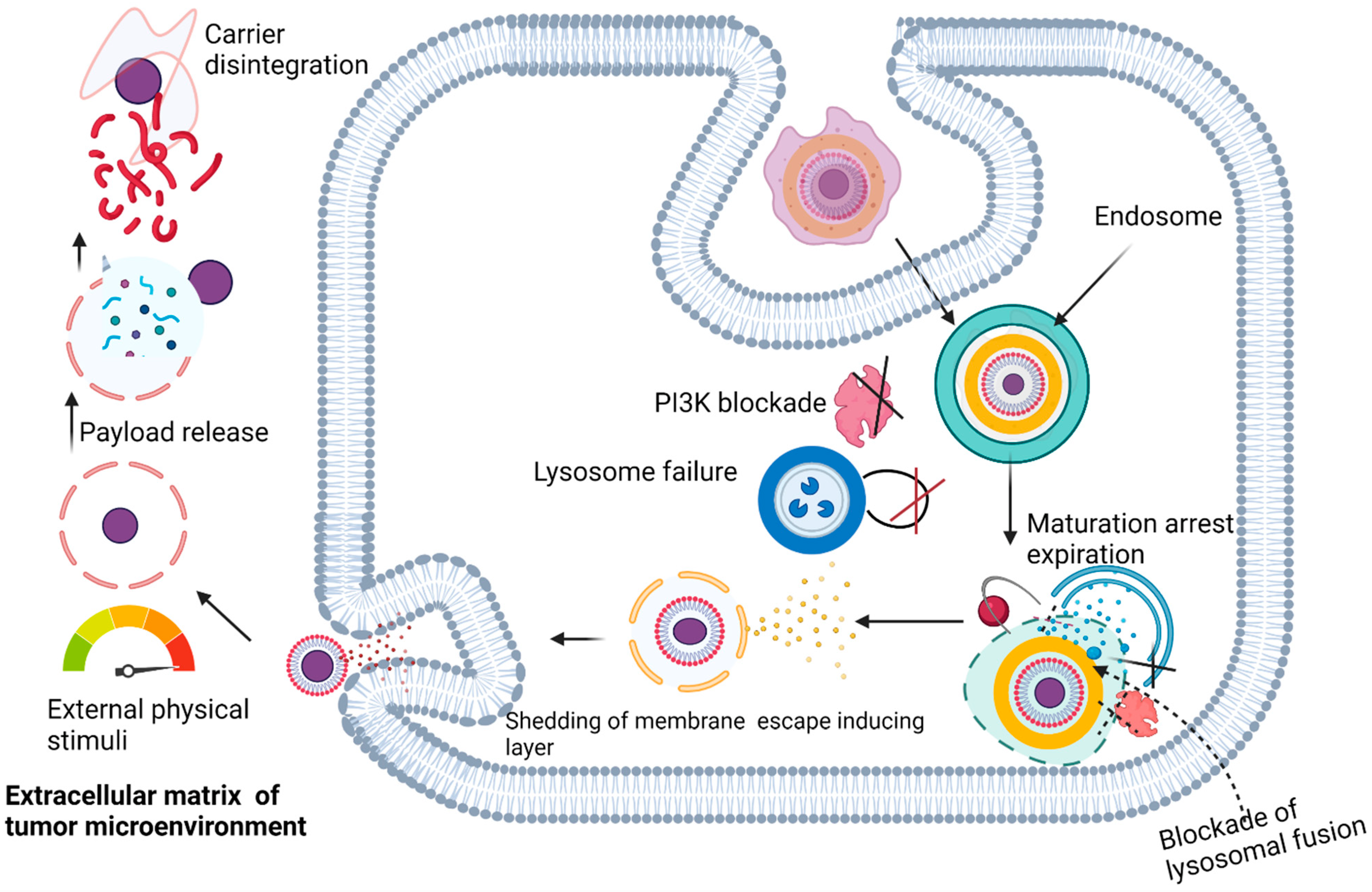 Polymers 14 02601 g006 Polymers 14 02601 g006