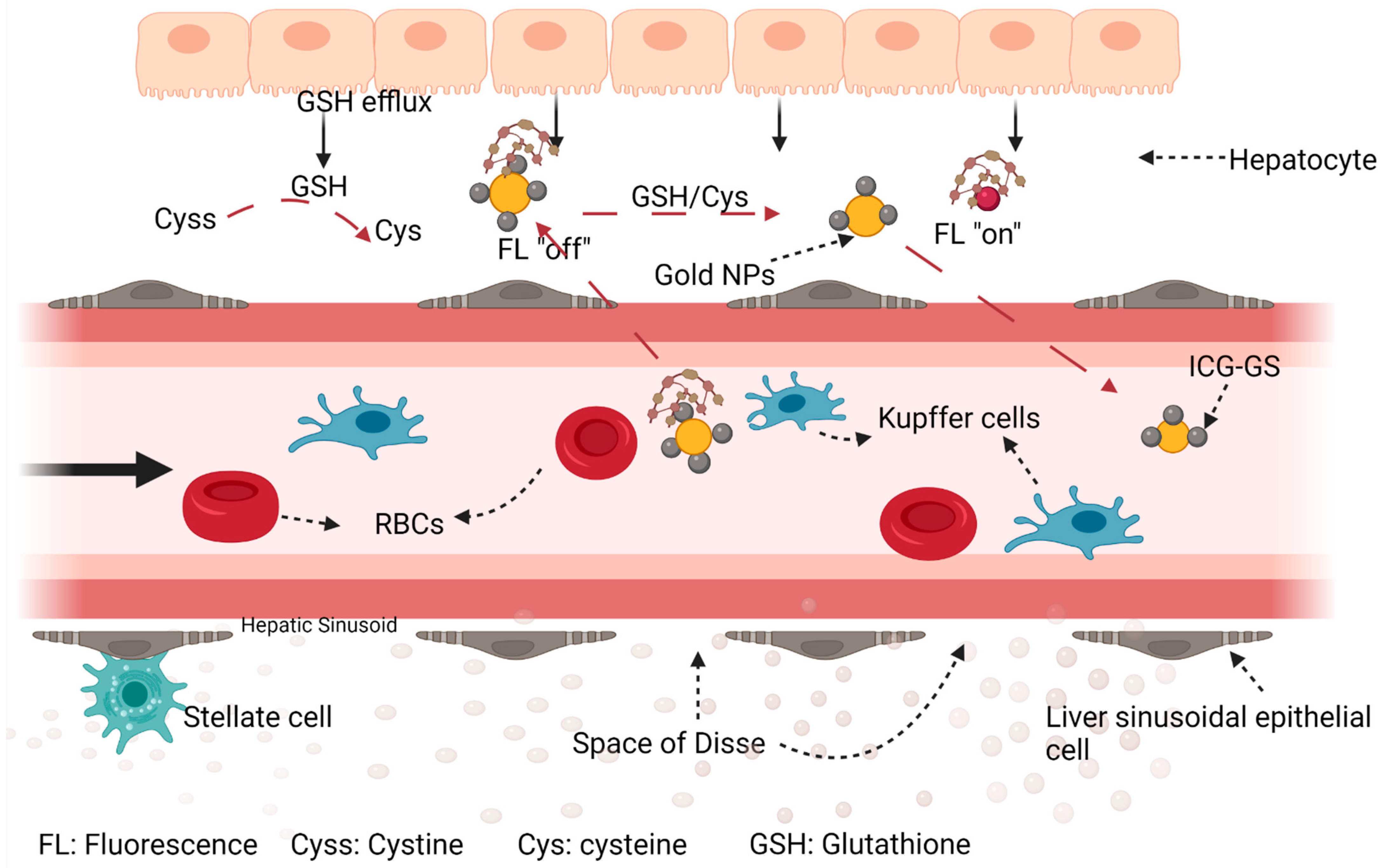 Polymers 14 02601 g007 Polymers 14 02601 g007