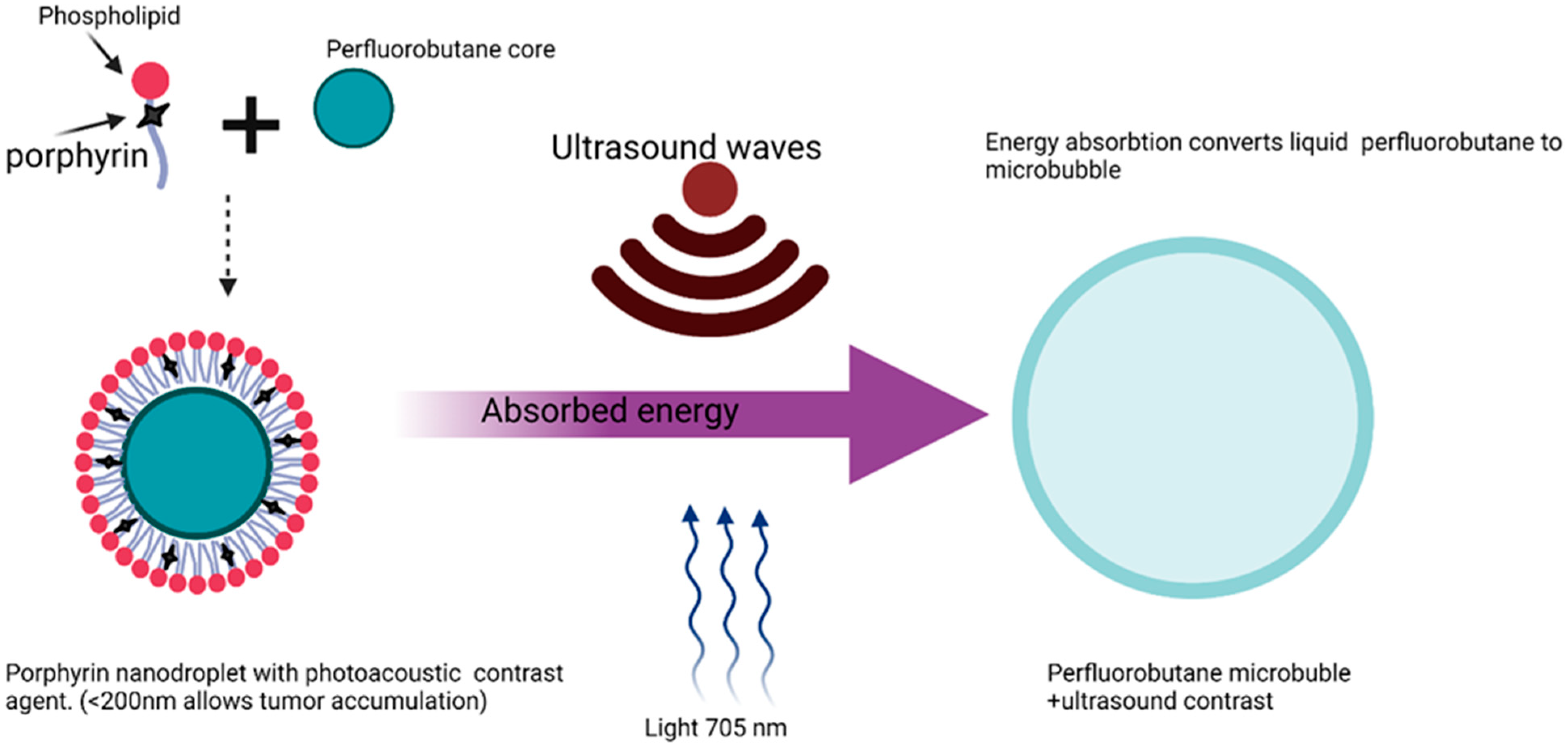 Polymers 14 02601 g008 Polymers 14 02601 g008