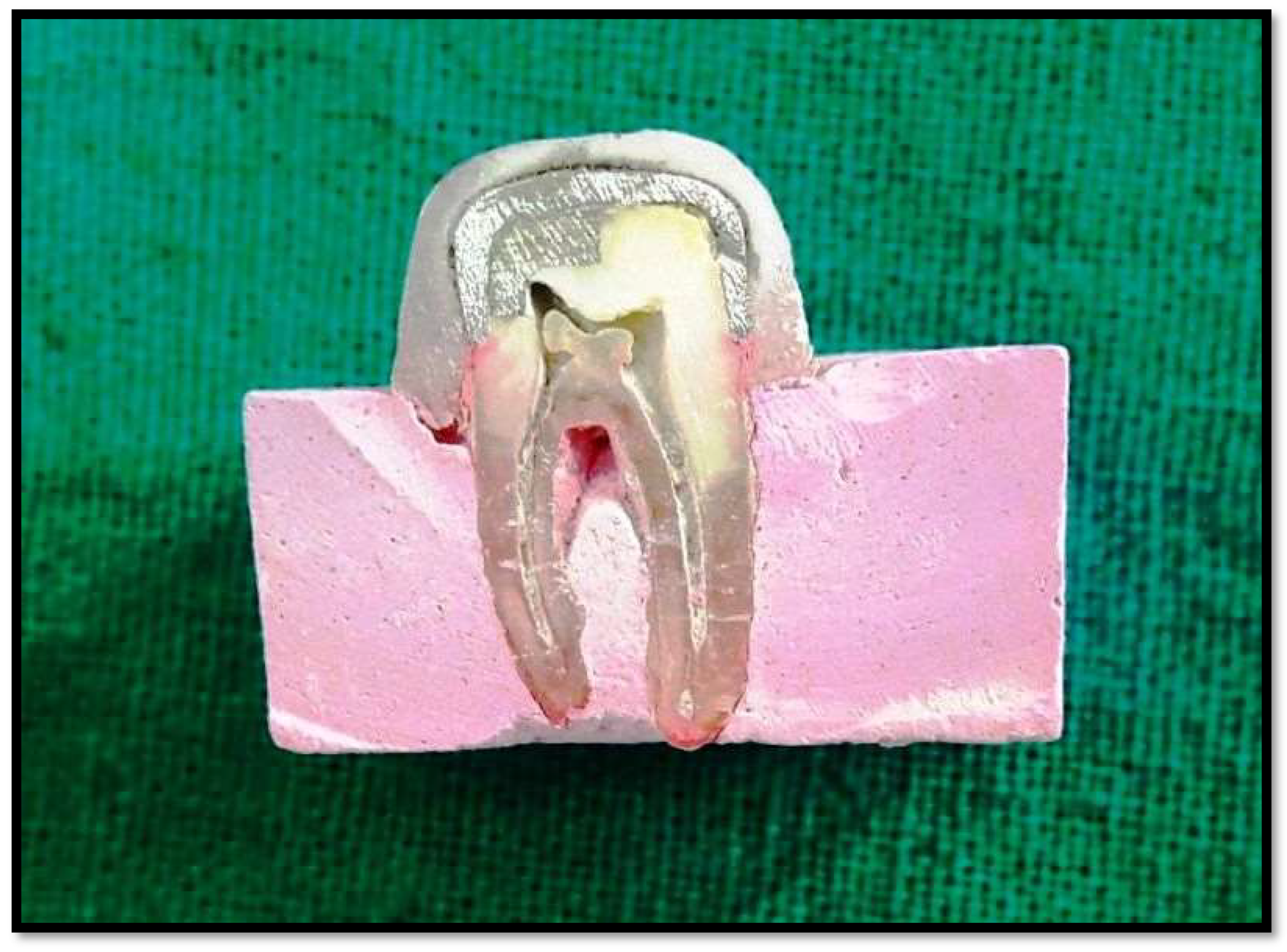 Polymers 14 02609 g003