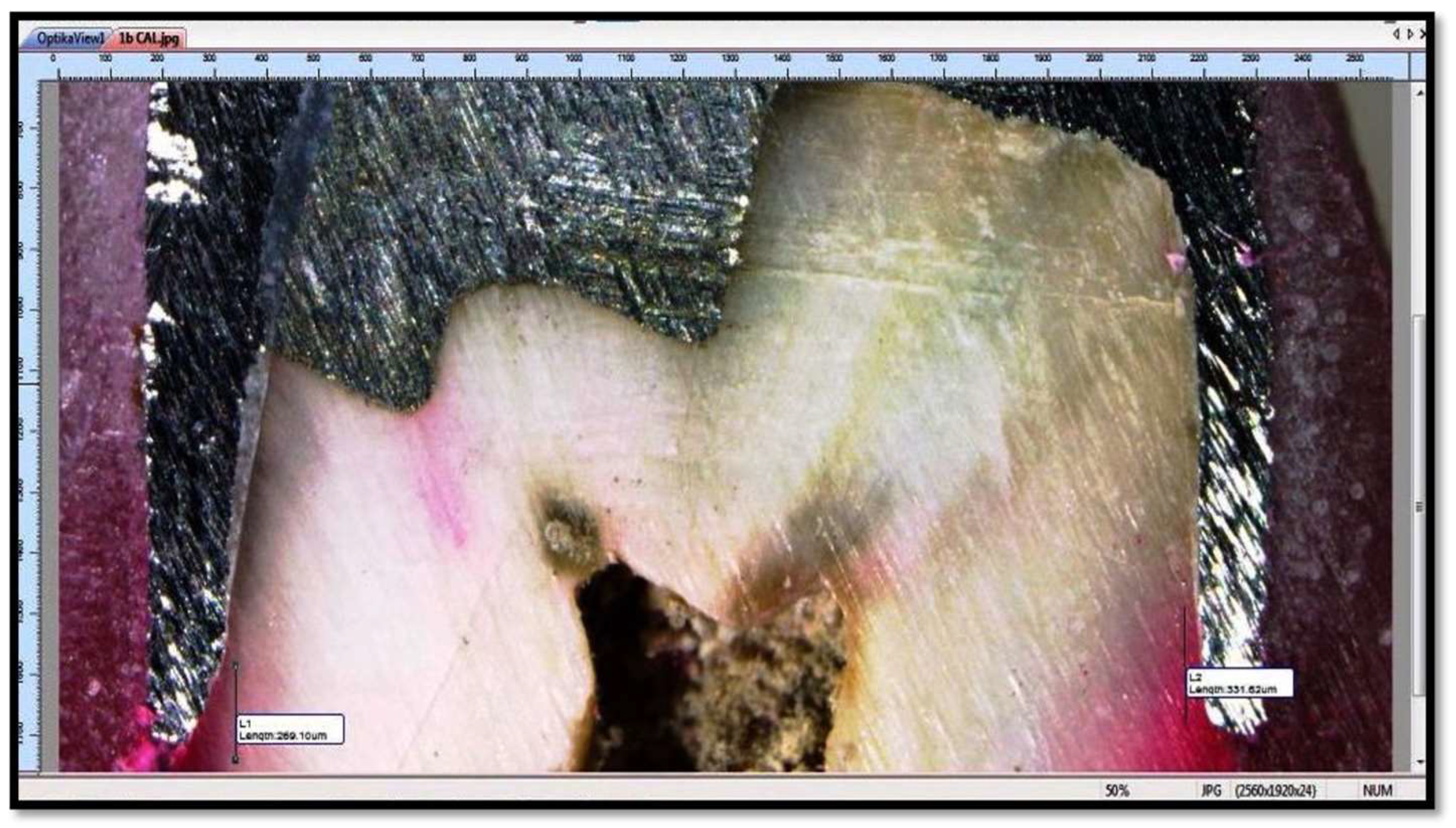 Polymers 14 02609 g005