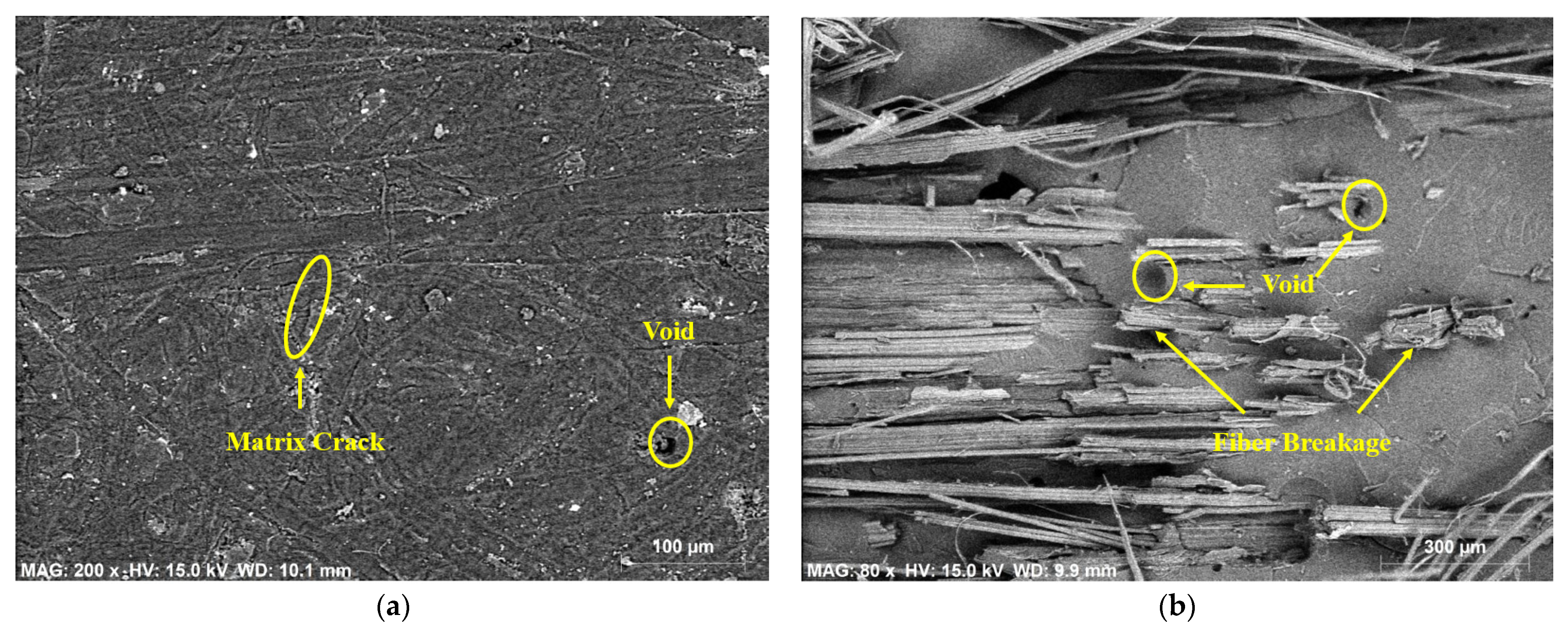 Polymers 14 02612 g007 Polymers 14 02612 g007