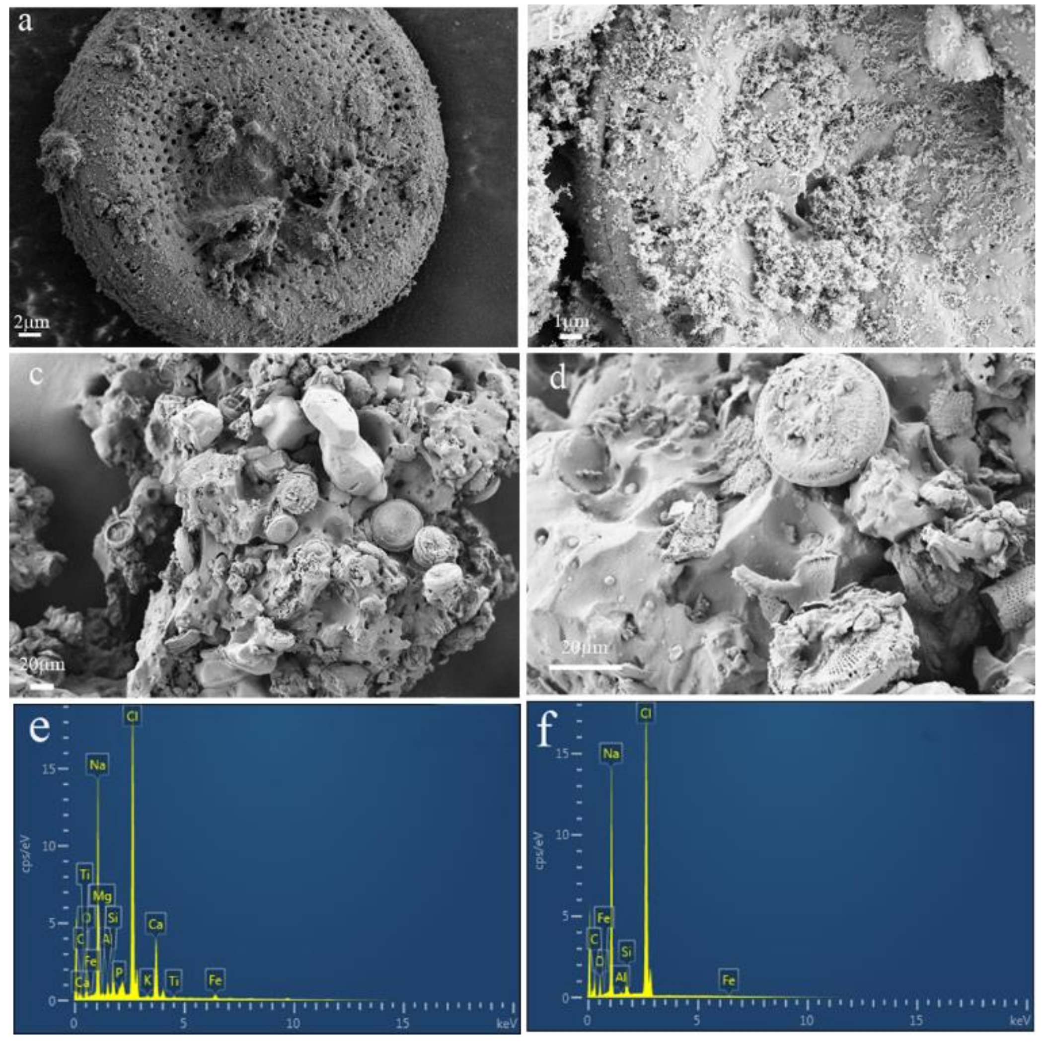 Polymers 14 02615 g004
