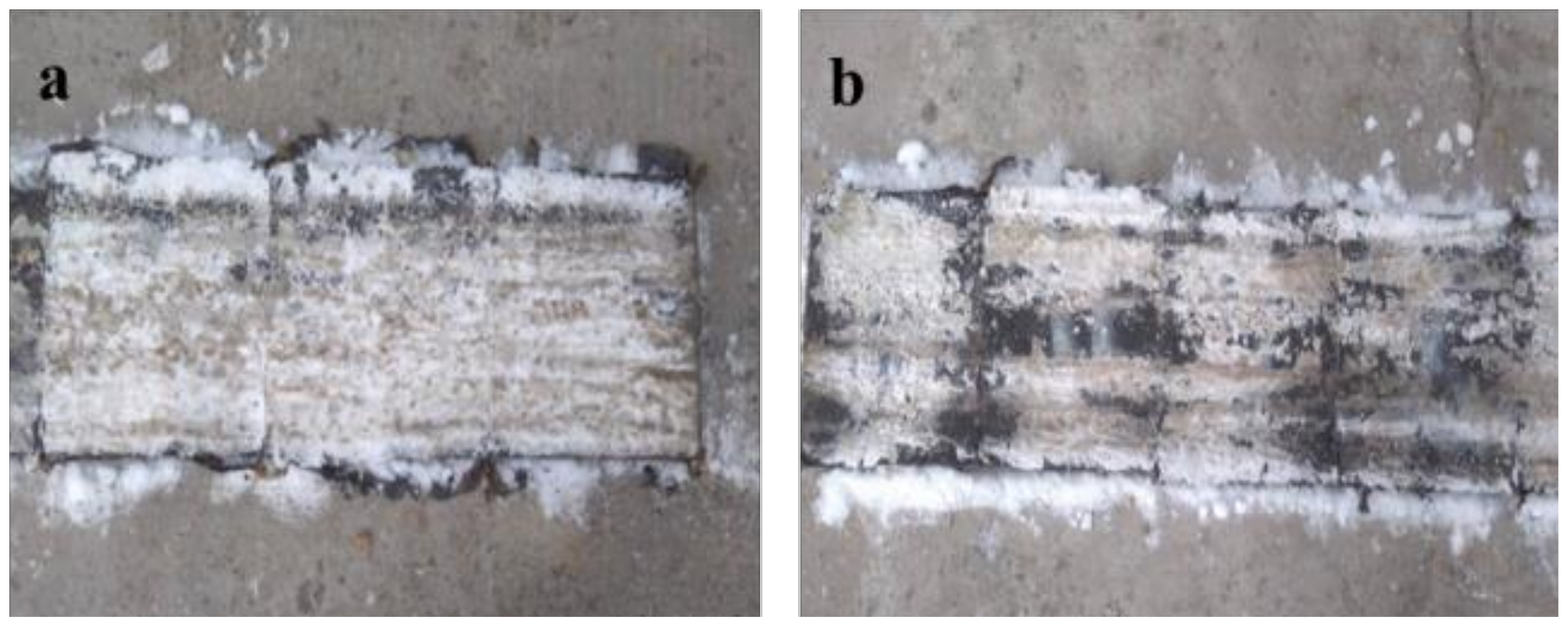 Polymers 14 02615 g013