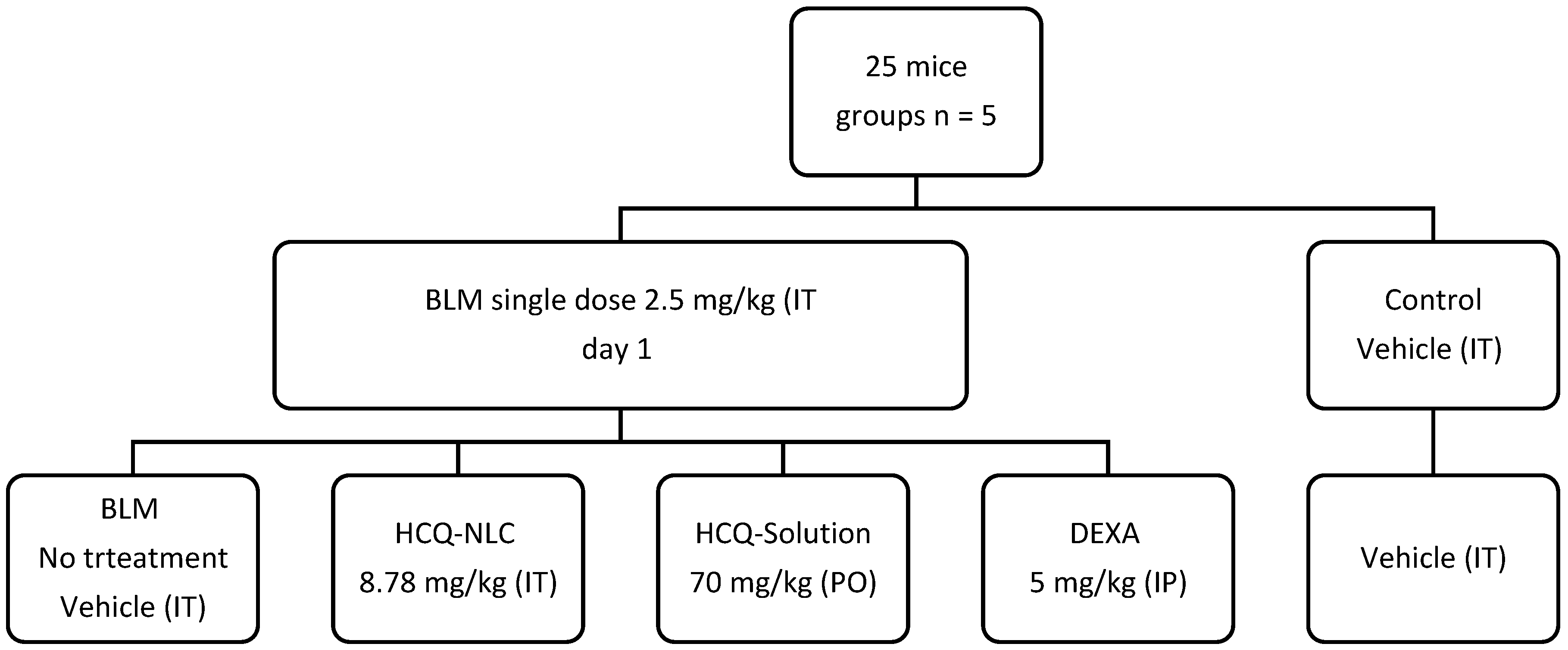 Polymers 14 02616 g001
