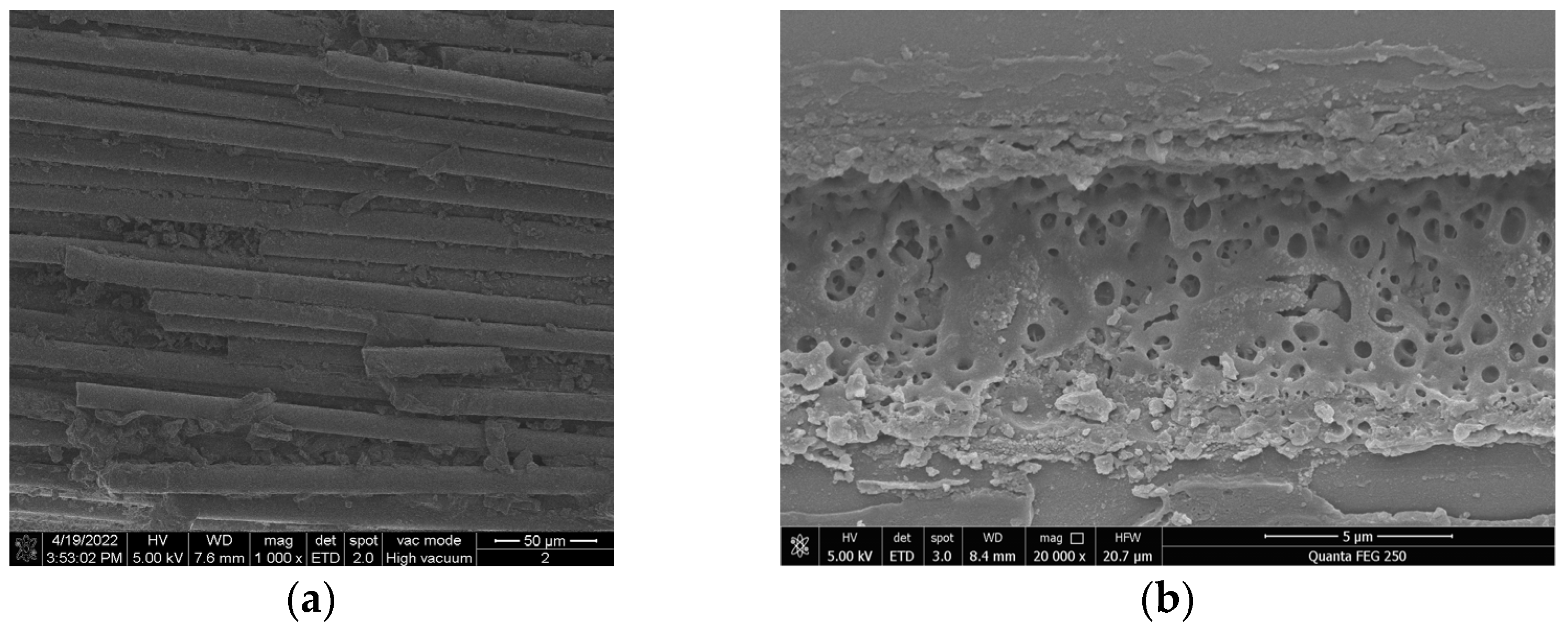 Polymers 14 02620 g005 Polymers 14 02620 g005