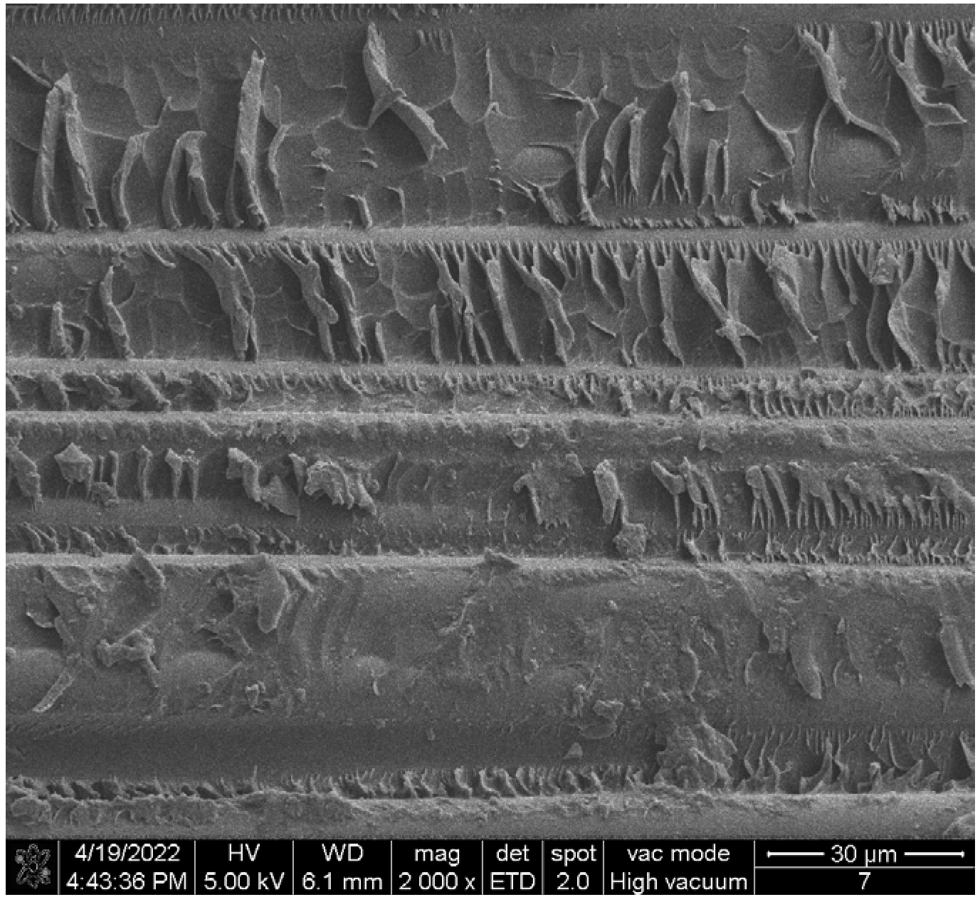 Polymers 14 02620 g007 Polymers 14 02620 g007