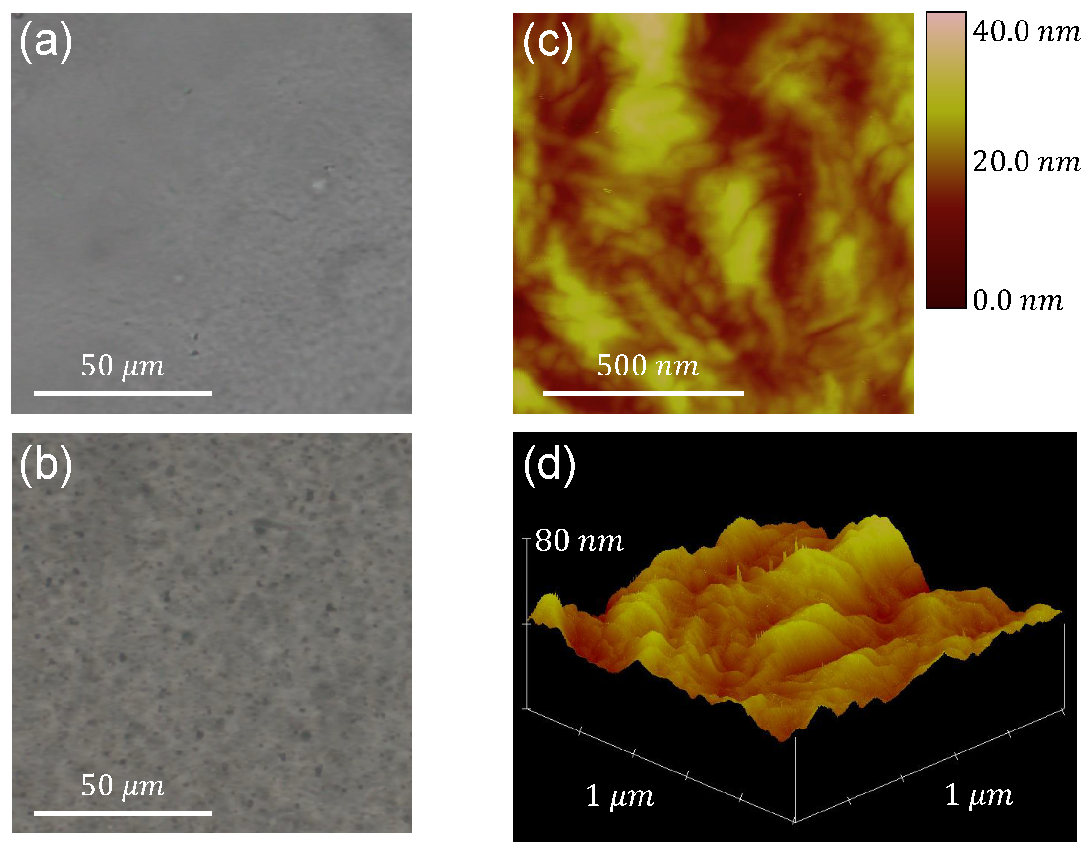 Polymers 14 02629 g001