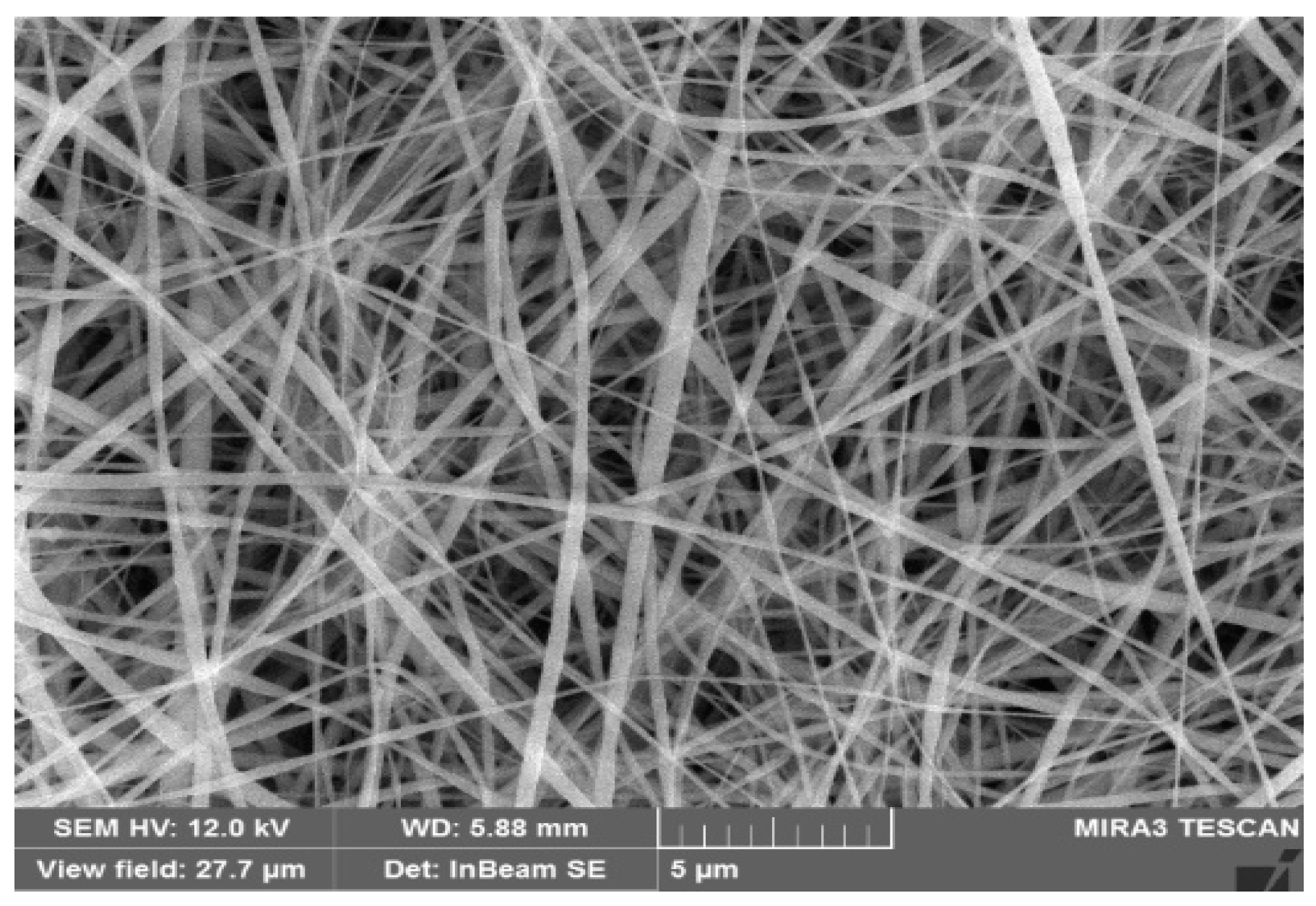 Polymers 14 02631 g004