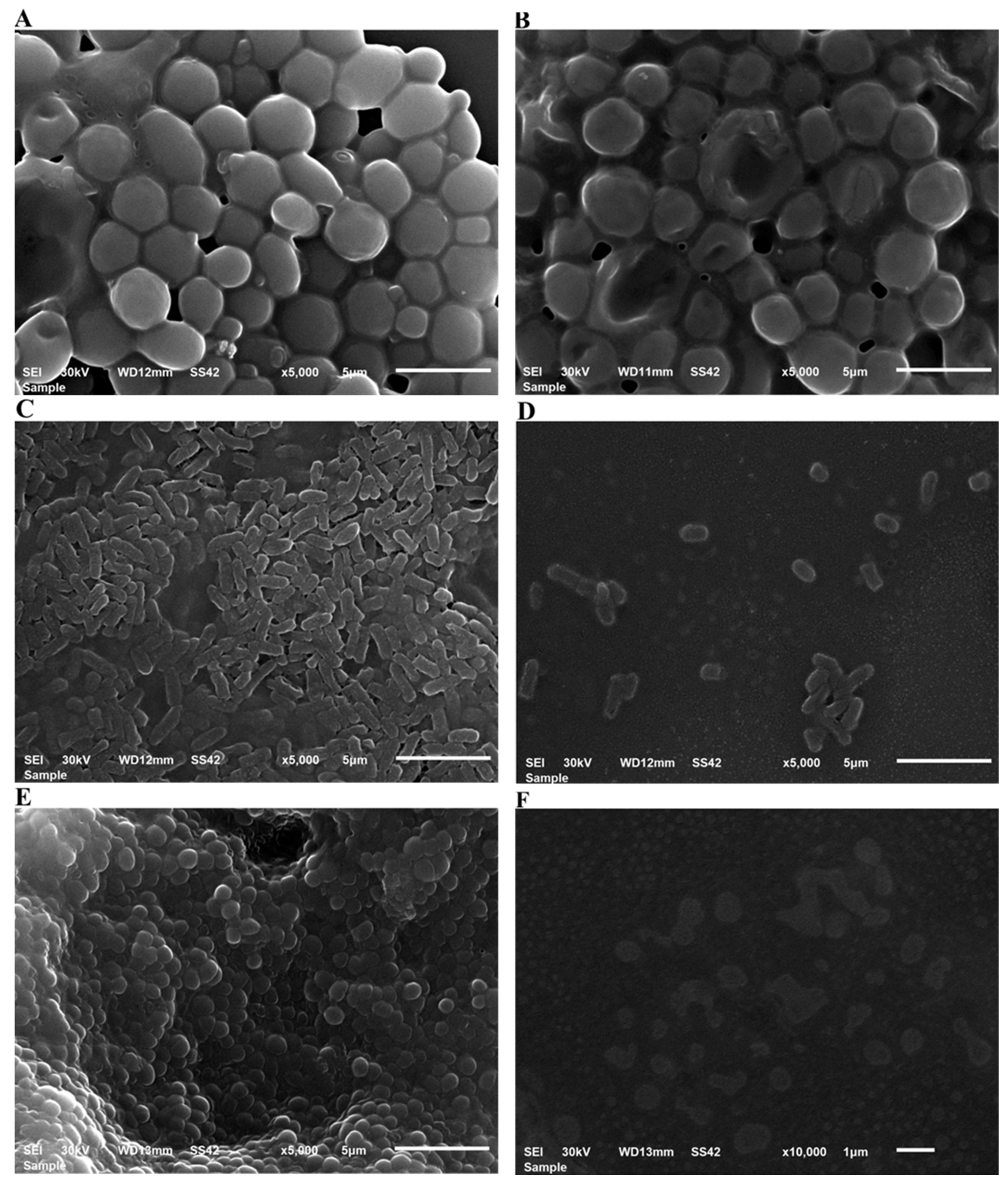 Polymers 14 02637 g006 Polymers 14 02637 g006