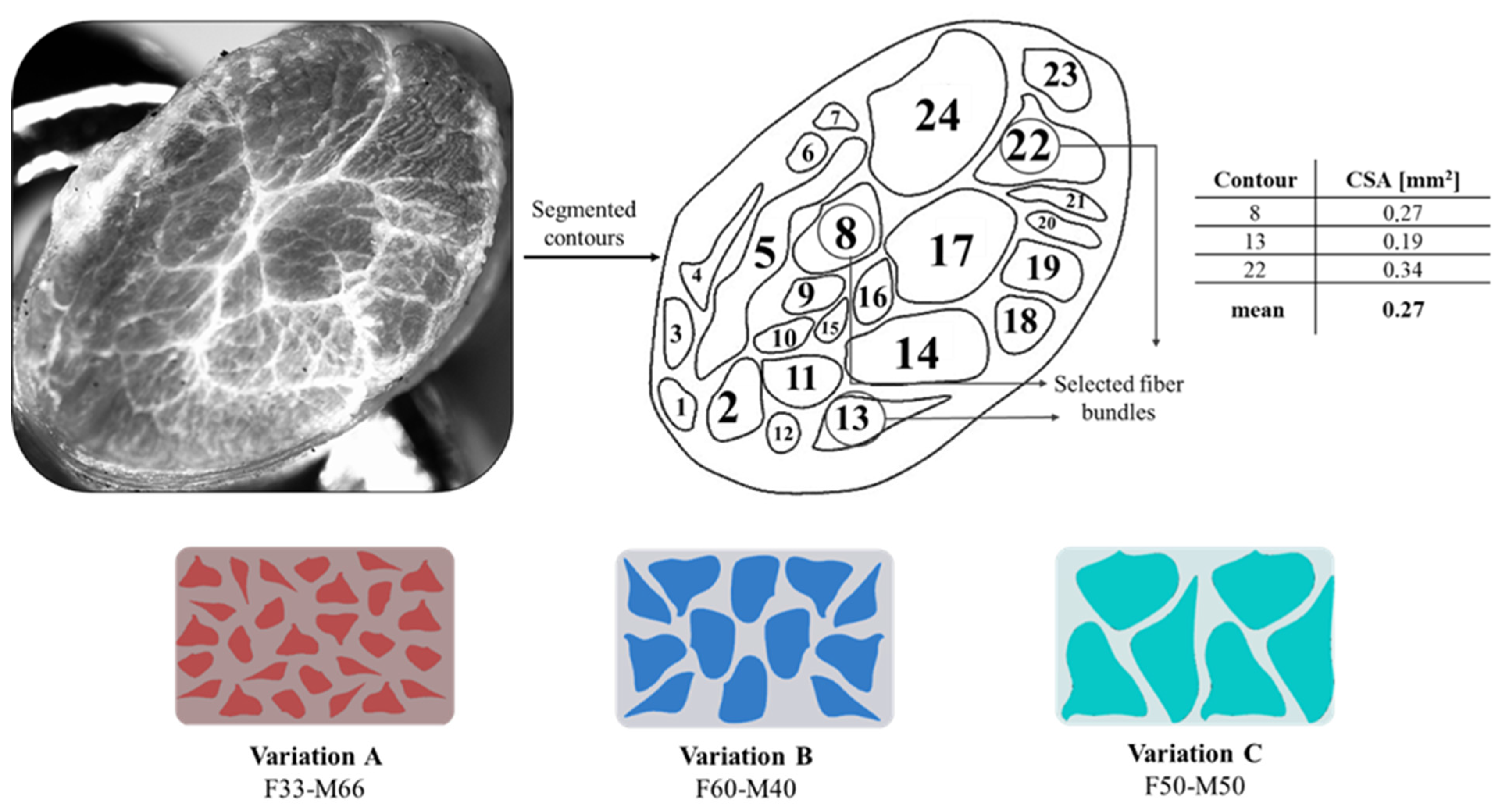 Polymers 14 02639 g006