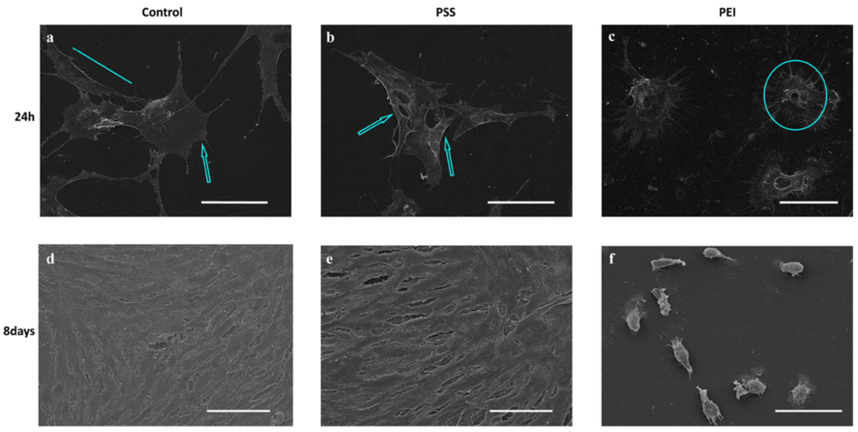 Polymers 14 02643 g001