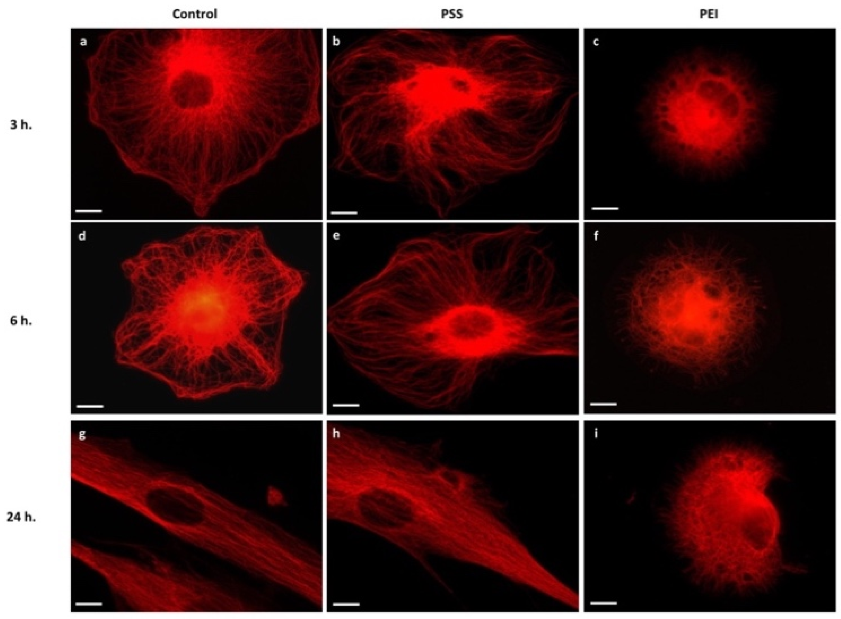 Polymers 14 02643 g003