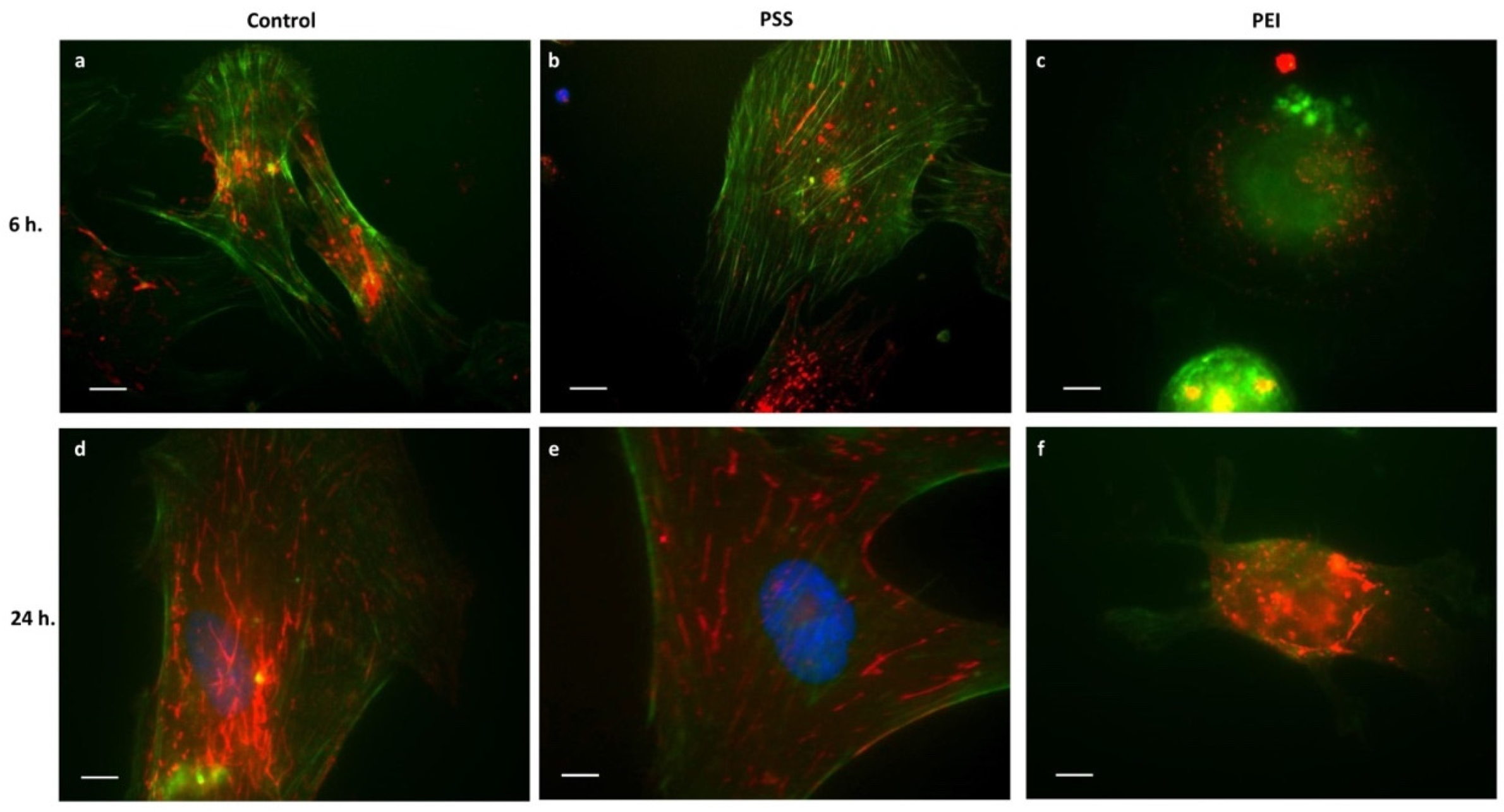 Polymers 14 02643 g004