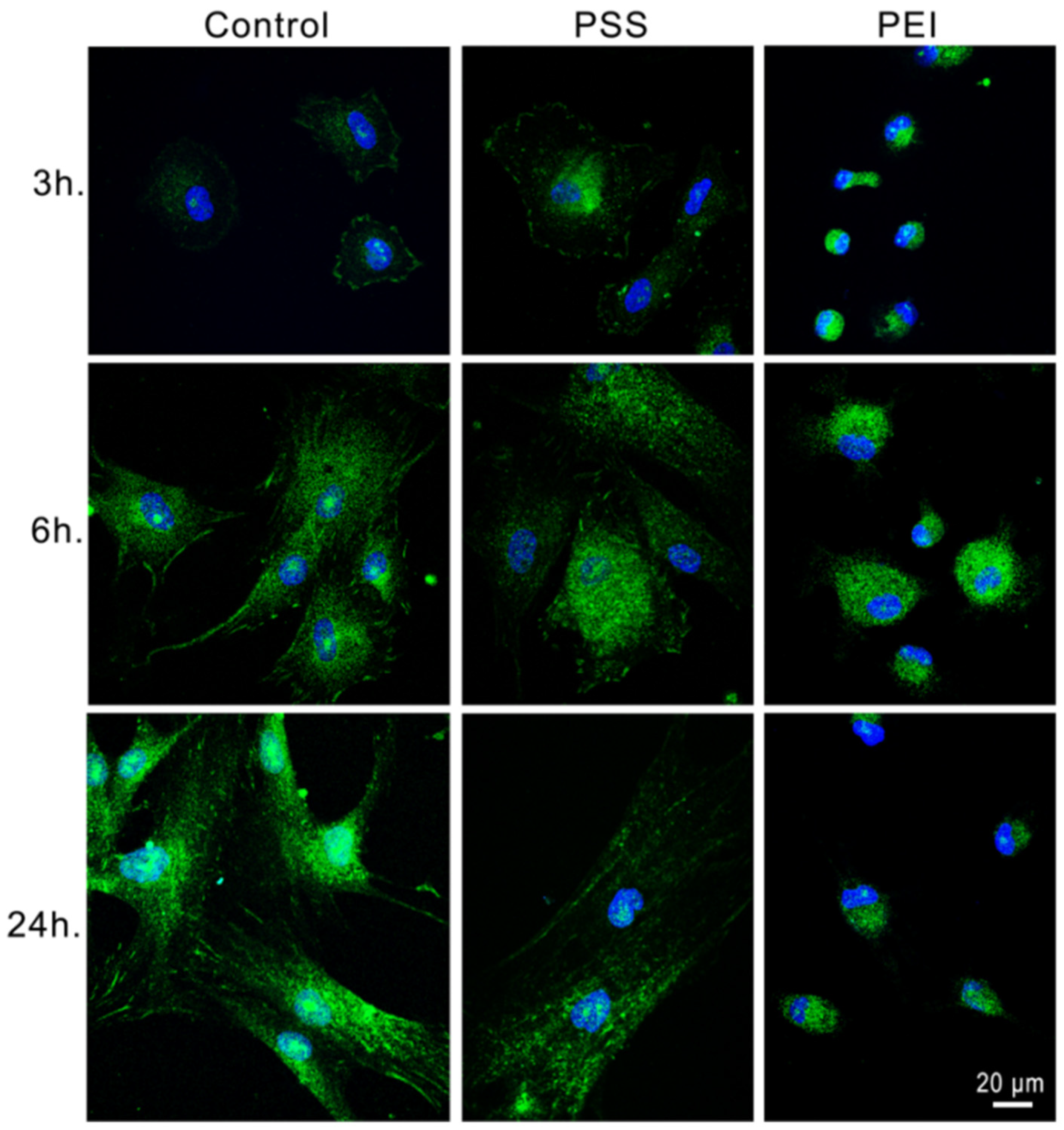 Polymers 14 02643 g005