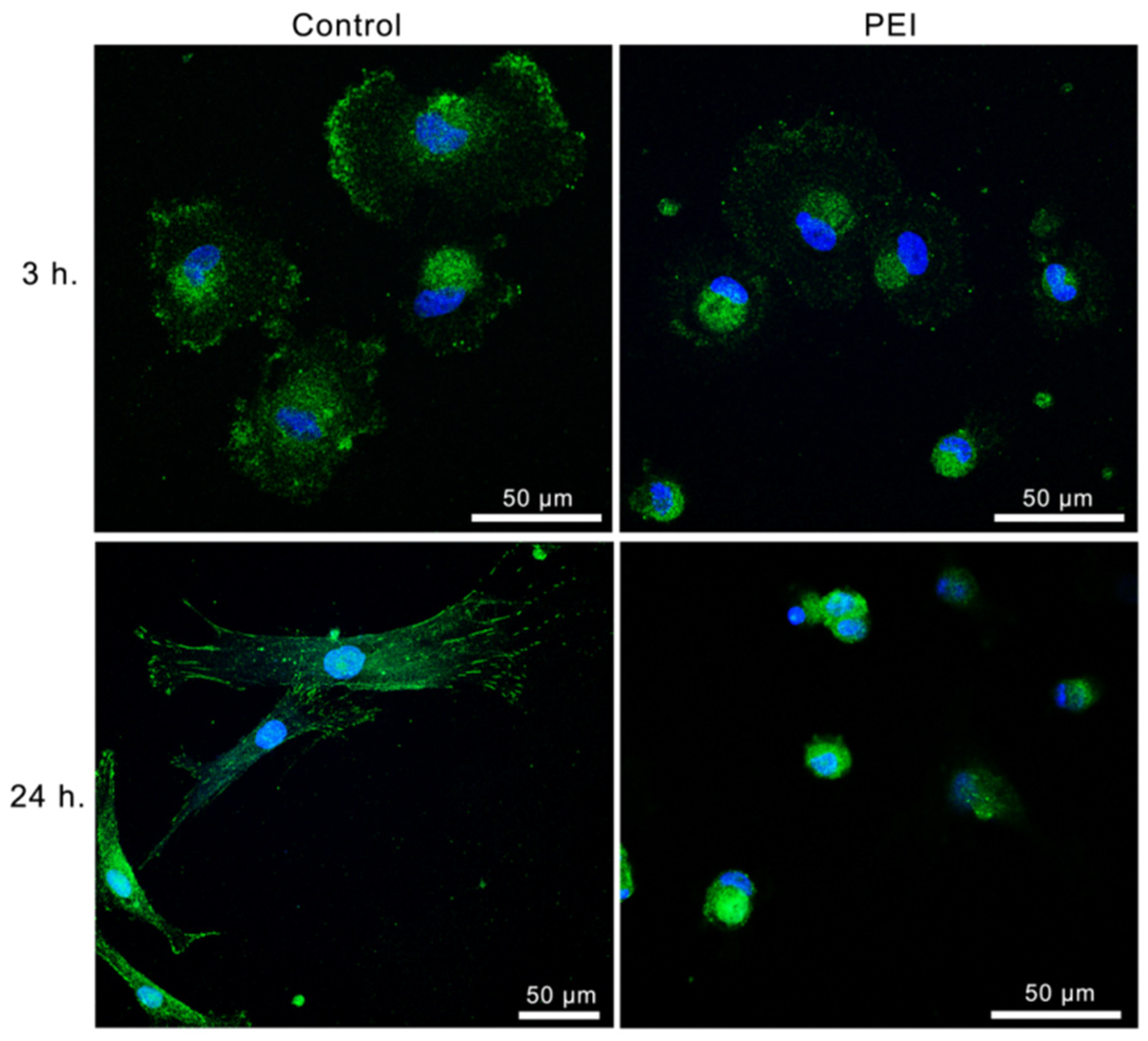 Polymers 14 02643 g006