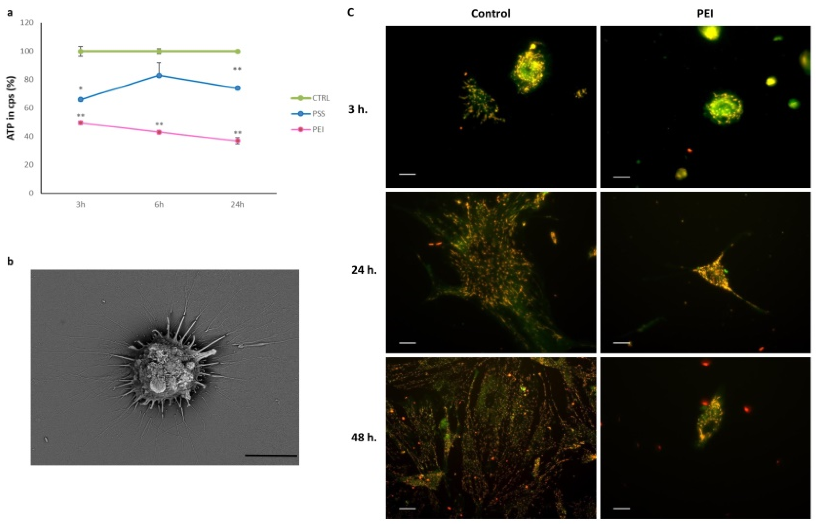 Polymers 14 02643 g009