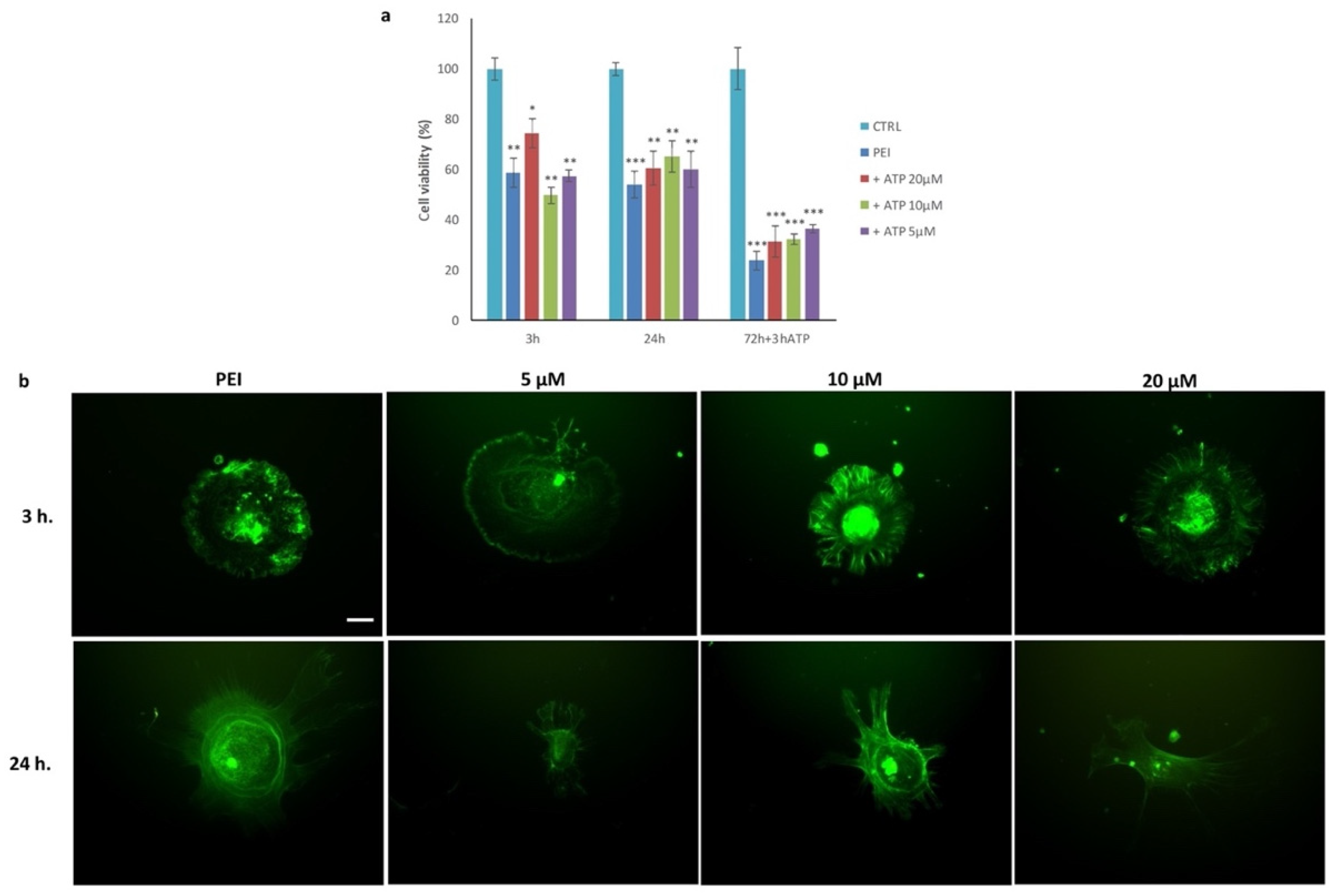 Polymers 14 02643 g010