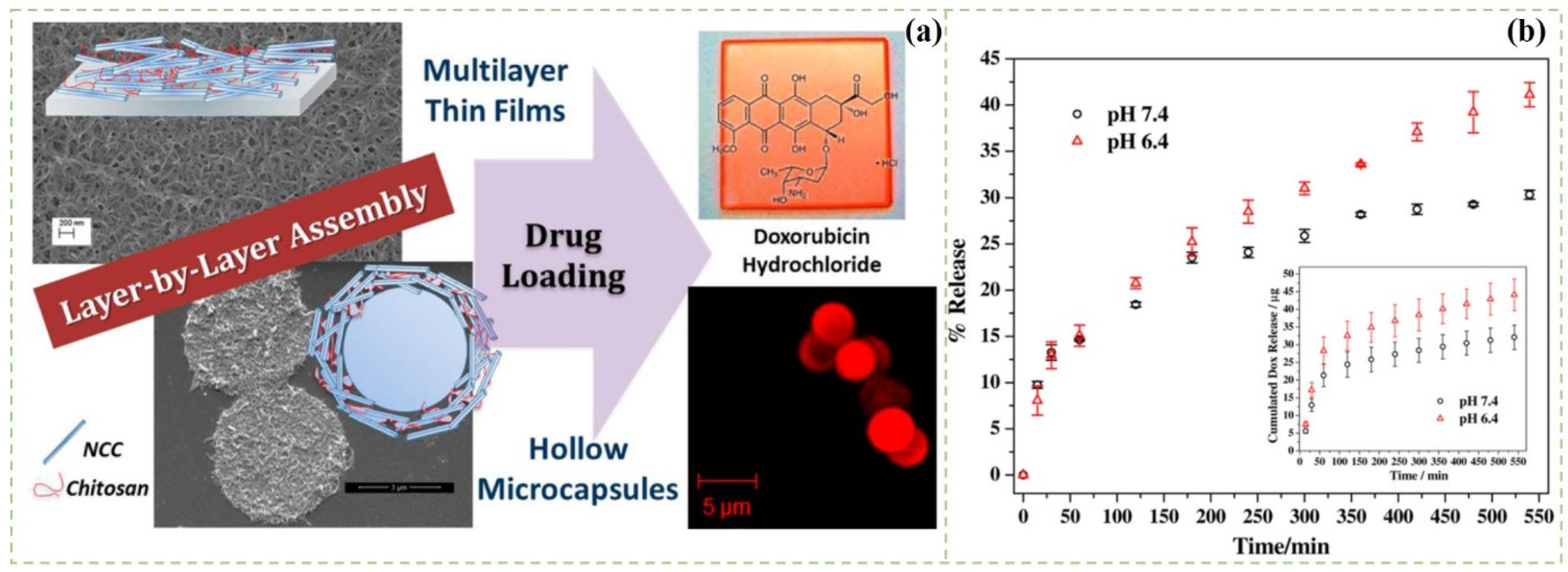 Polymers 14 02648 g003